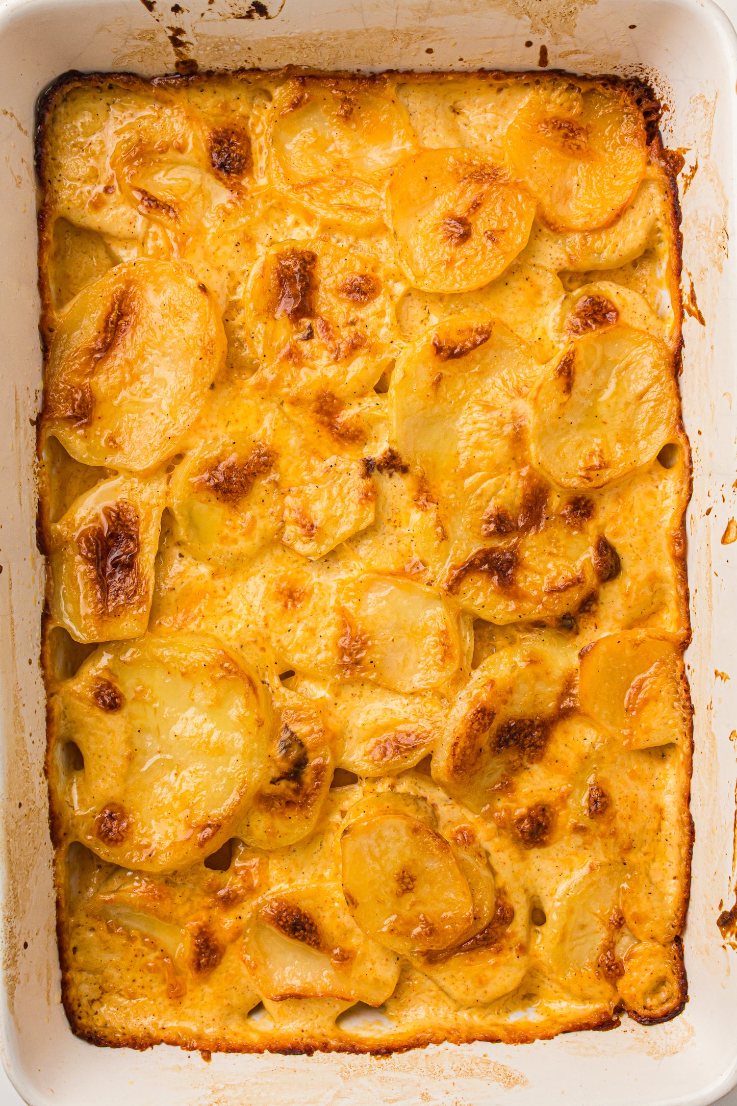 Creamy Scallop Potatoes