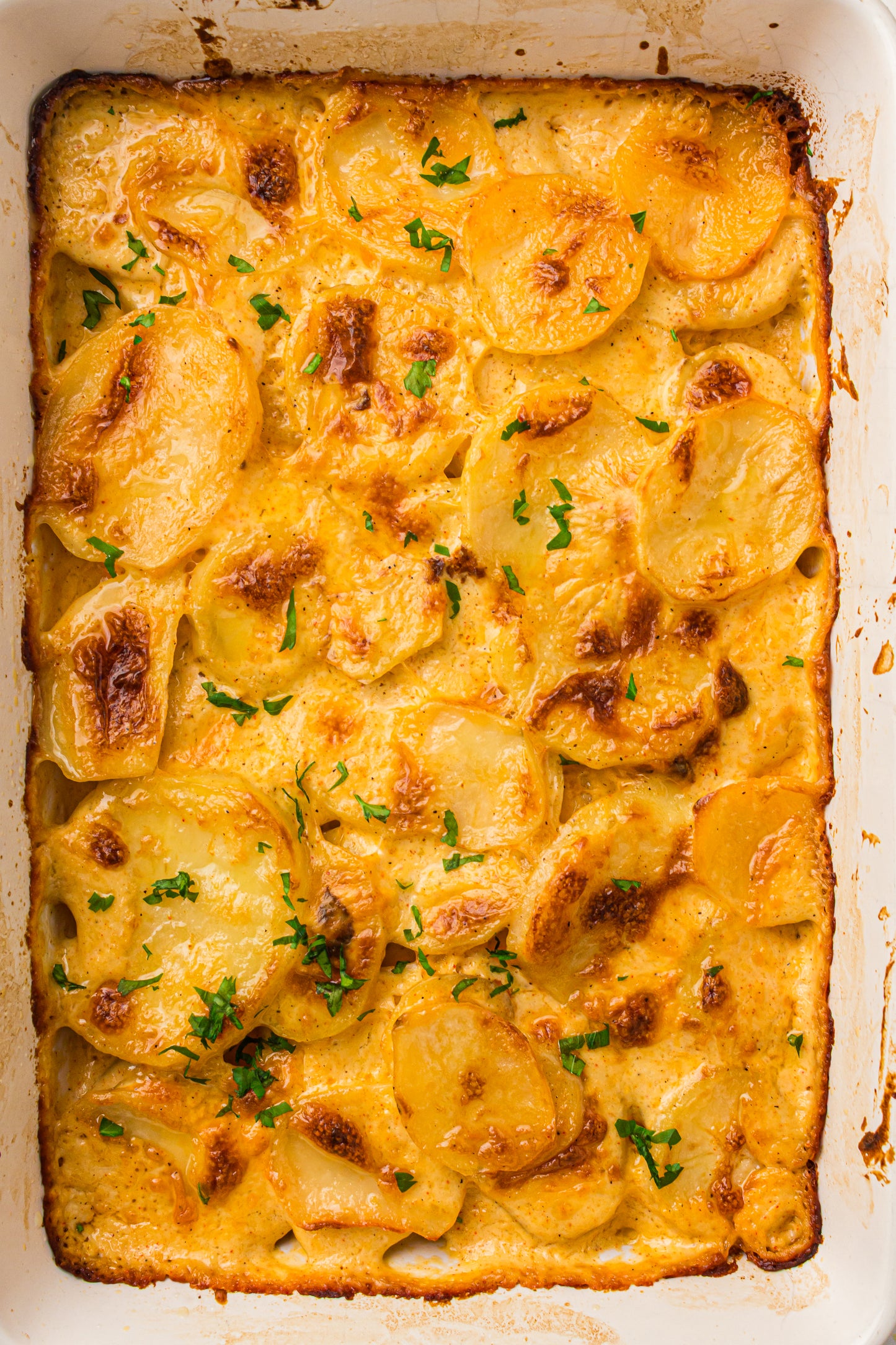Creamy Scallop Potatoes