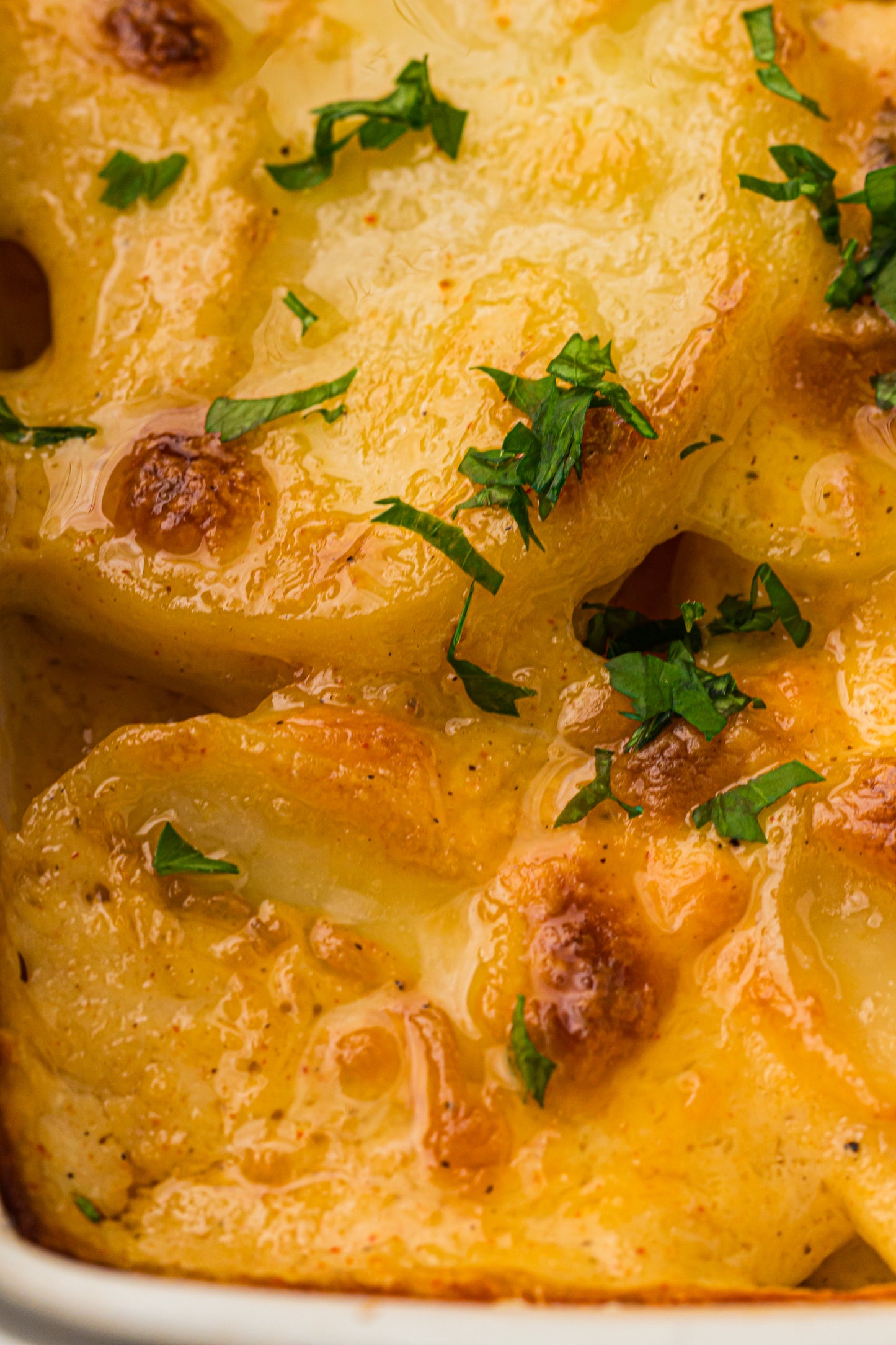 Creamy Scallop Potatoes