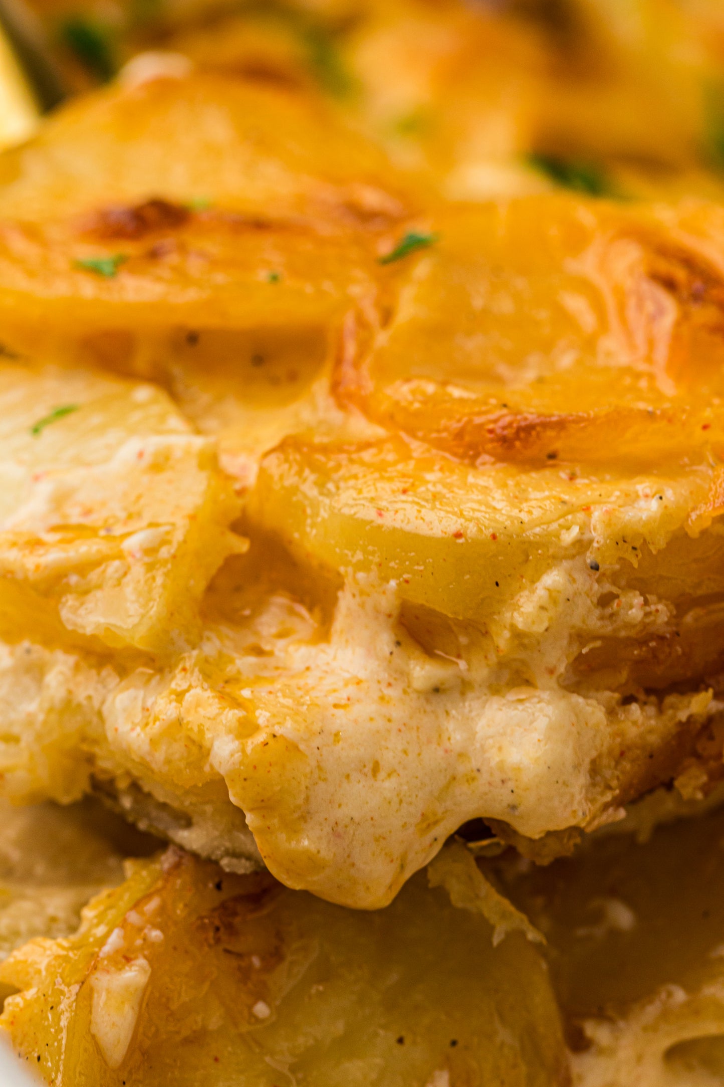 Creamy Scallop Potatoes