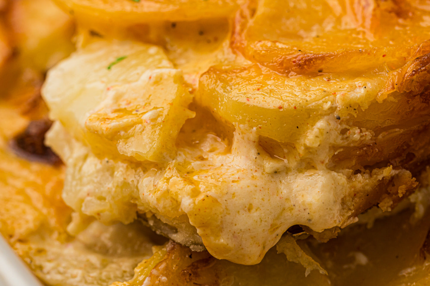 Creamy Scallop Potatoes