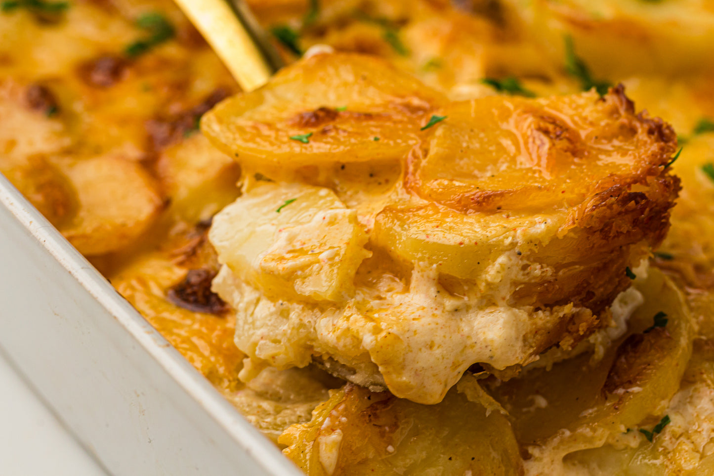 Creamy Scallop Potatoes