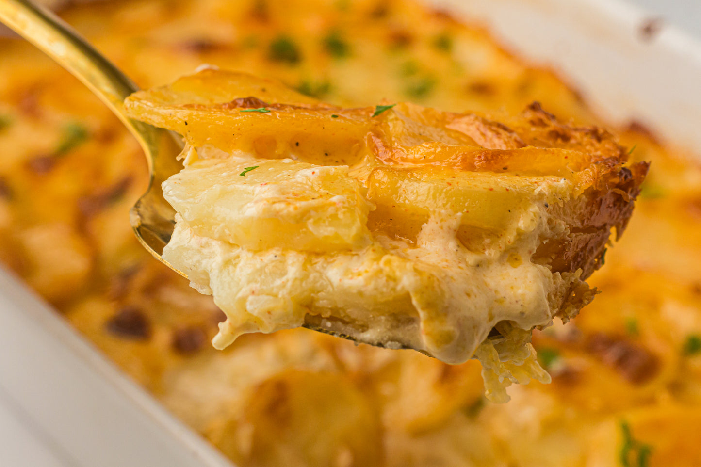 Creamy Scallop Potatoes