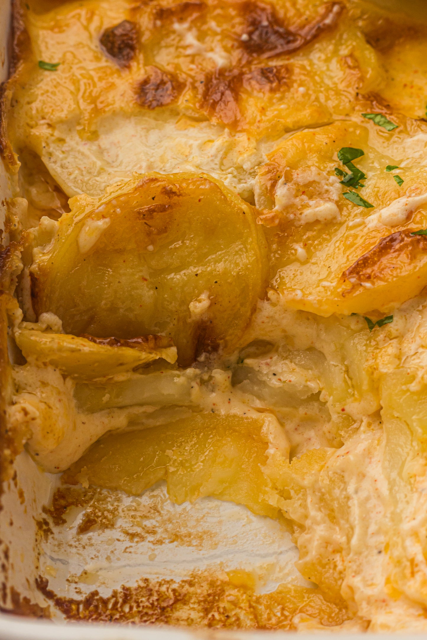 Creamy Scallop Potatoes