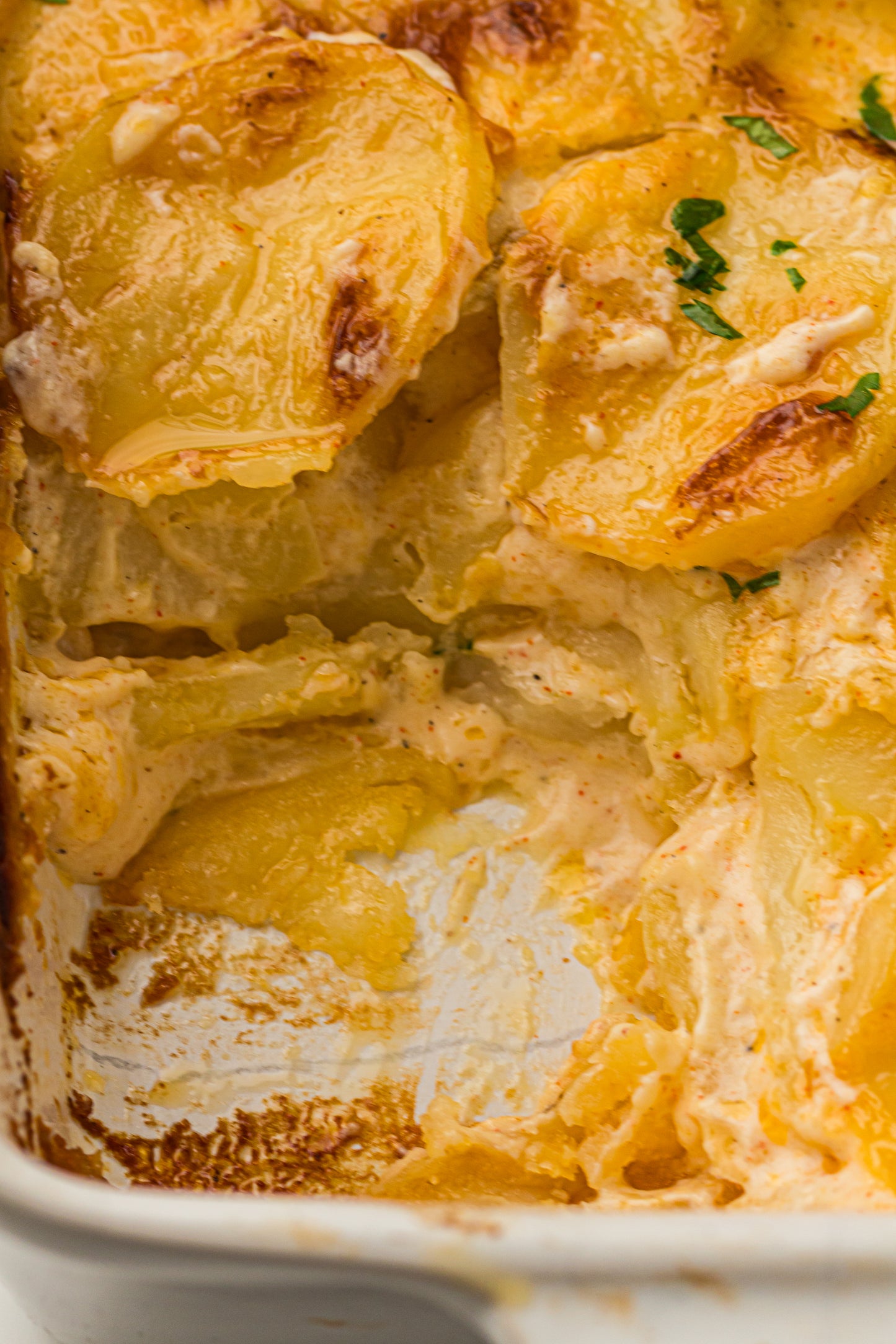 Creamy Scallop Potatoes