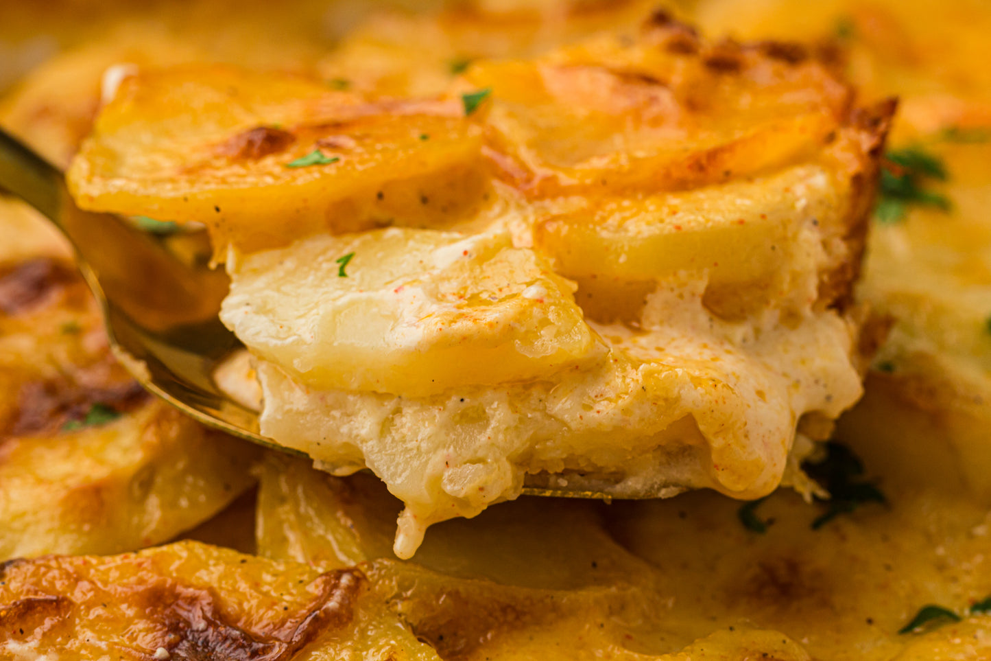 Creamy Scallop Potatoes