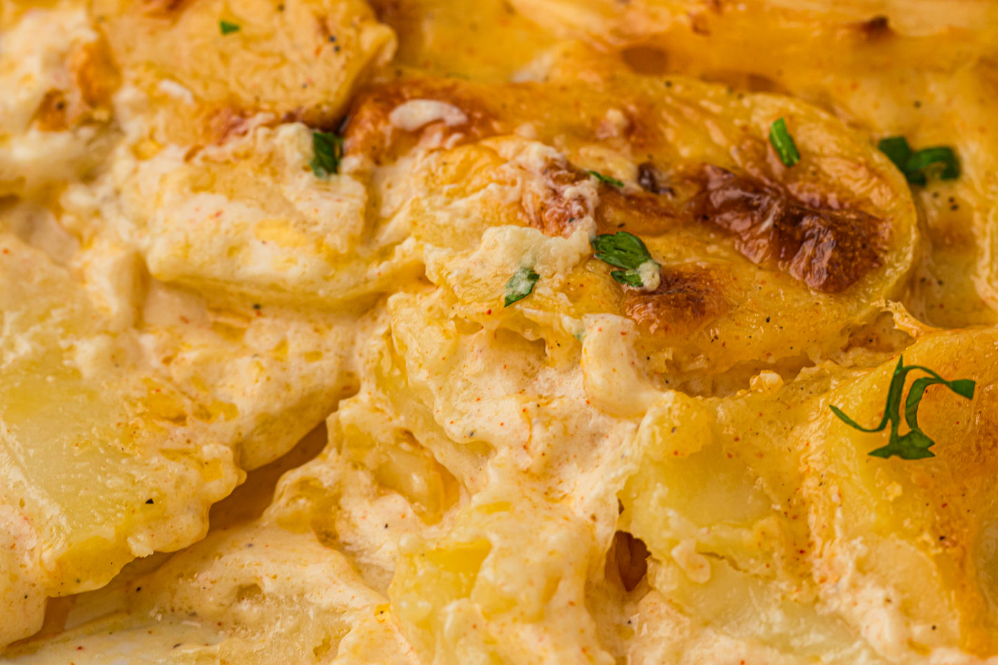 Creamy Scallop Potatoes