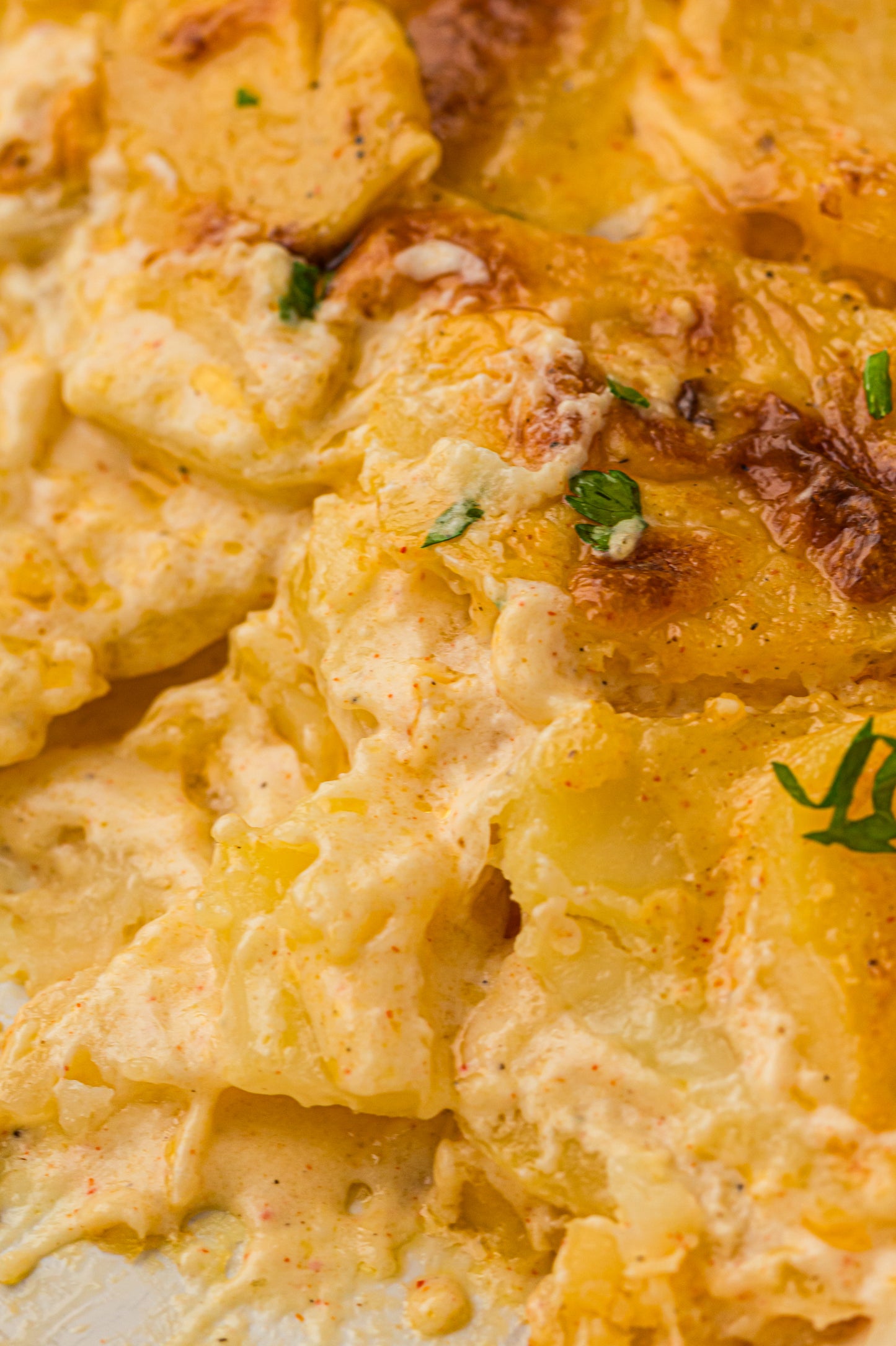 Creamy Scallop Potatoes