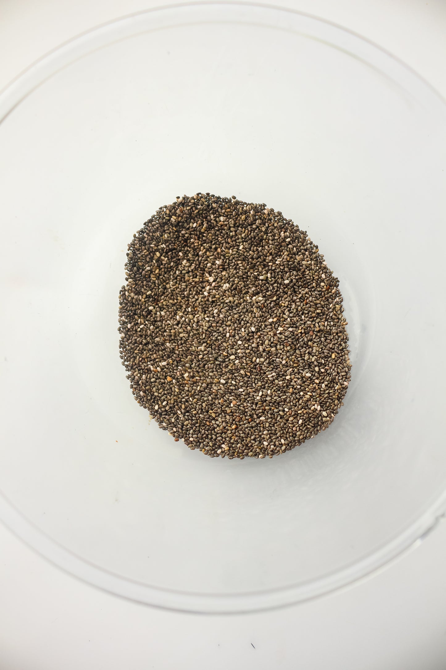 Chia Pudding PLR - Healthy