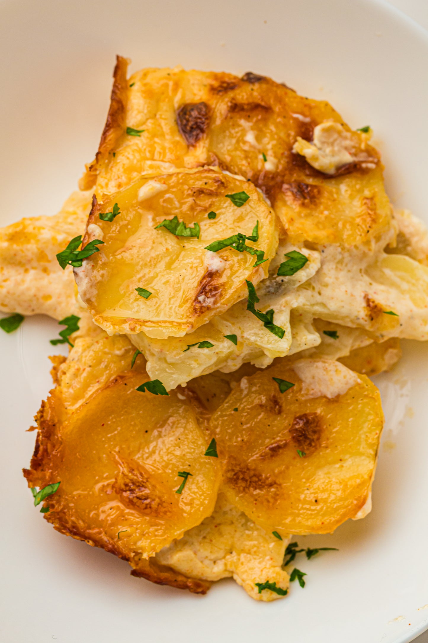 Creamy Scallop Potatoes