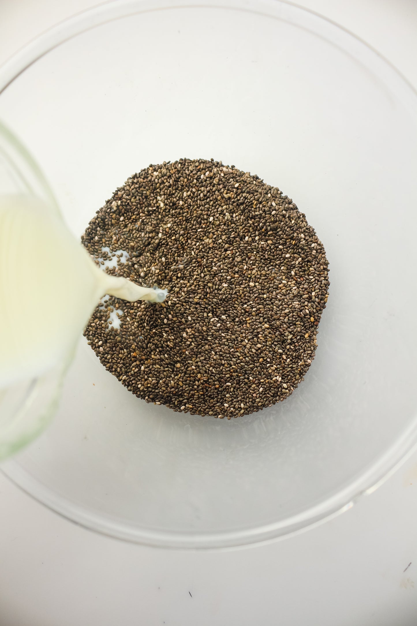 Chia Pudding PLR - Healthy