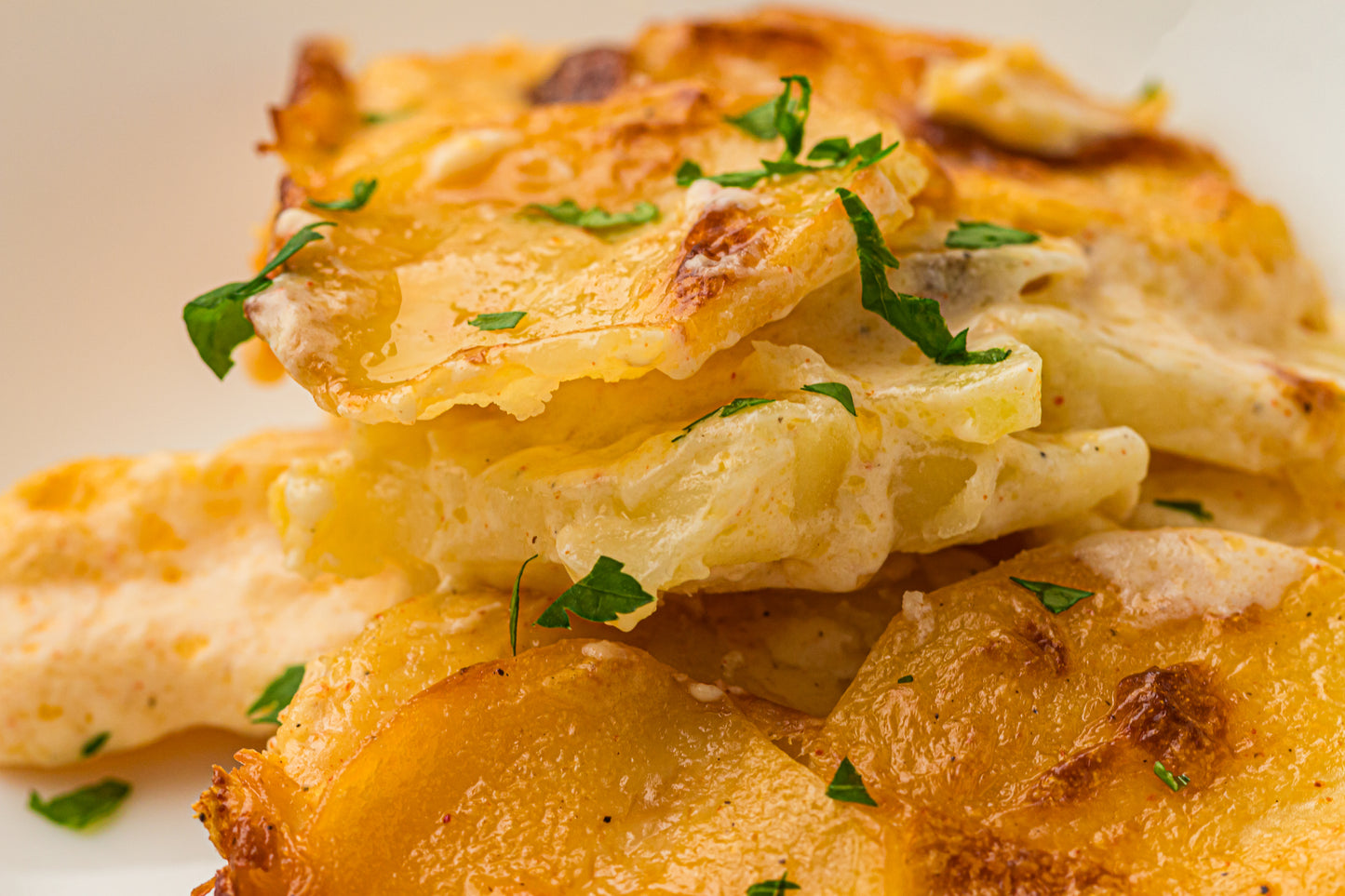 Creamy Scallop Potatoes