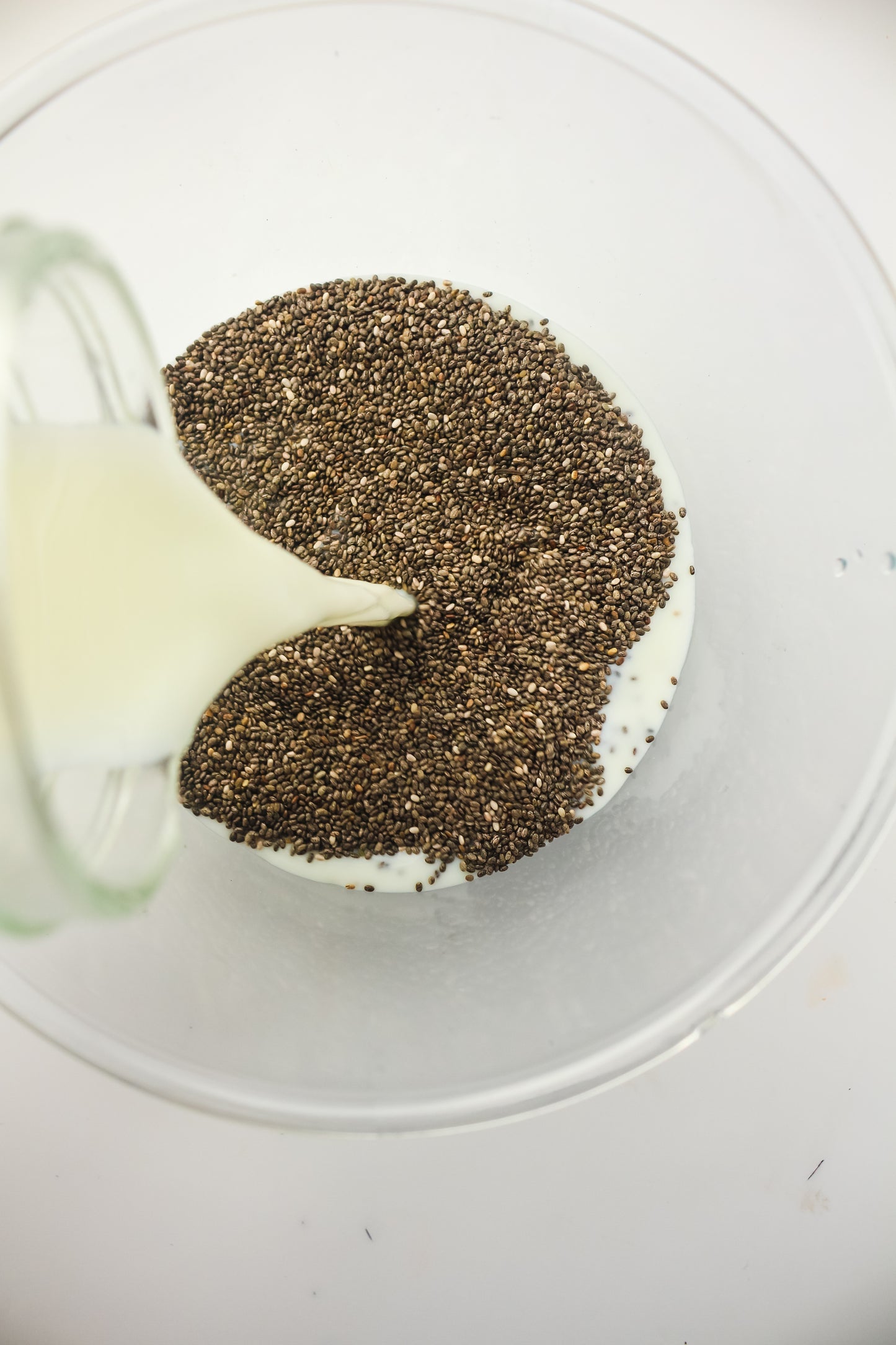 Chia Pudding PLR - Healthy