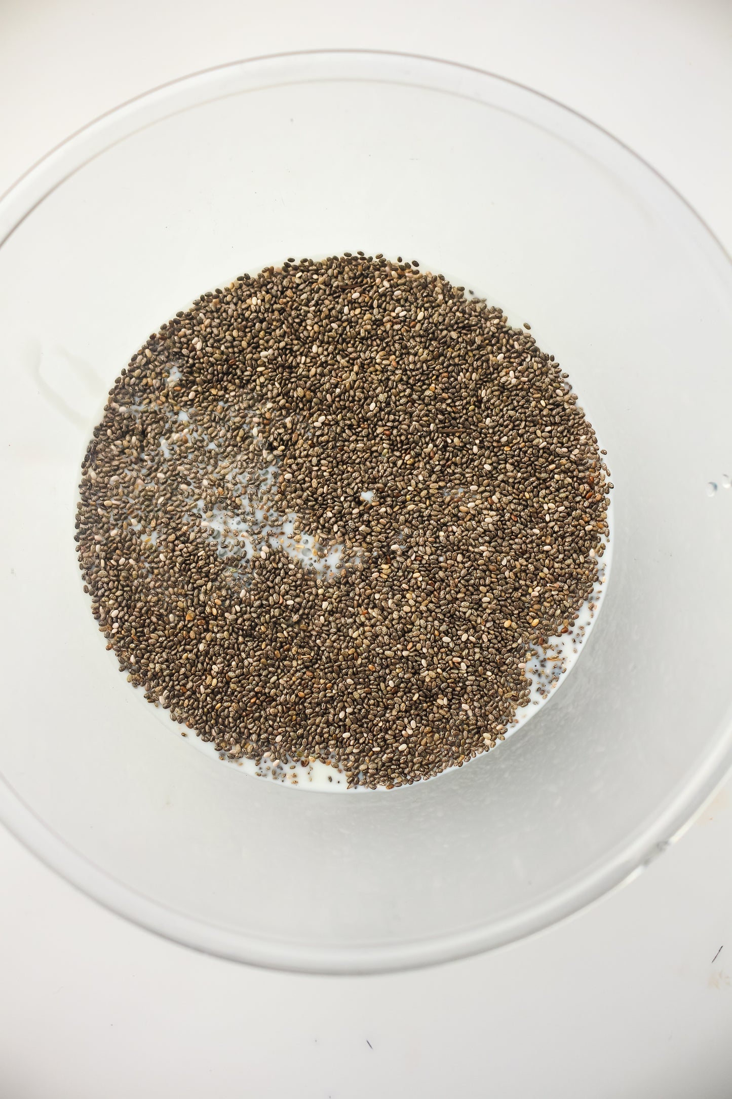 Chia Pudding PLR - Healthy