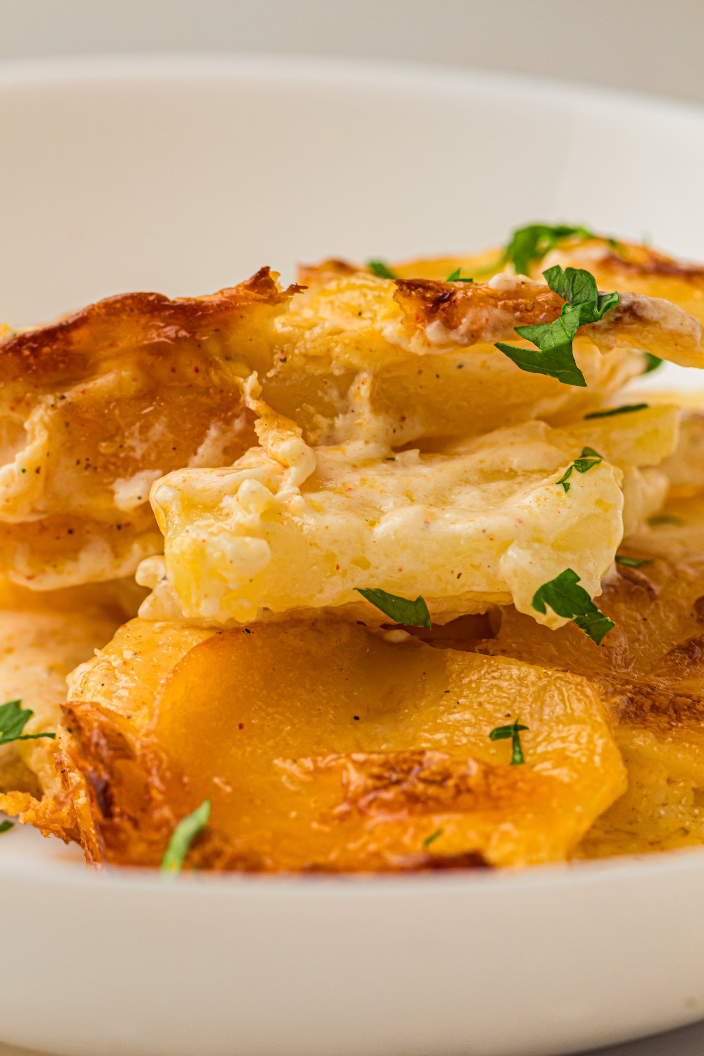 Creamy Scallop Potatoes