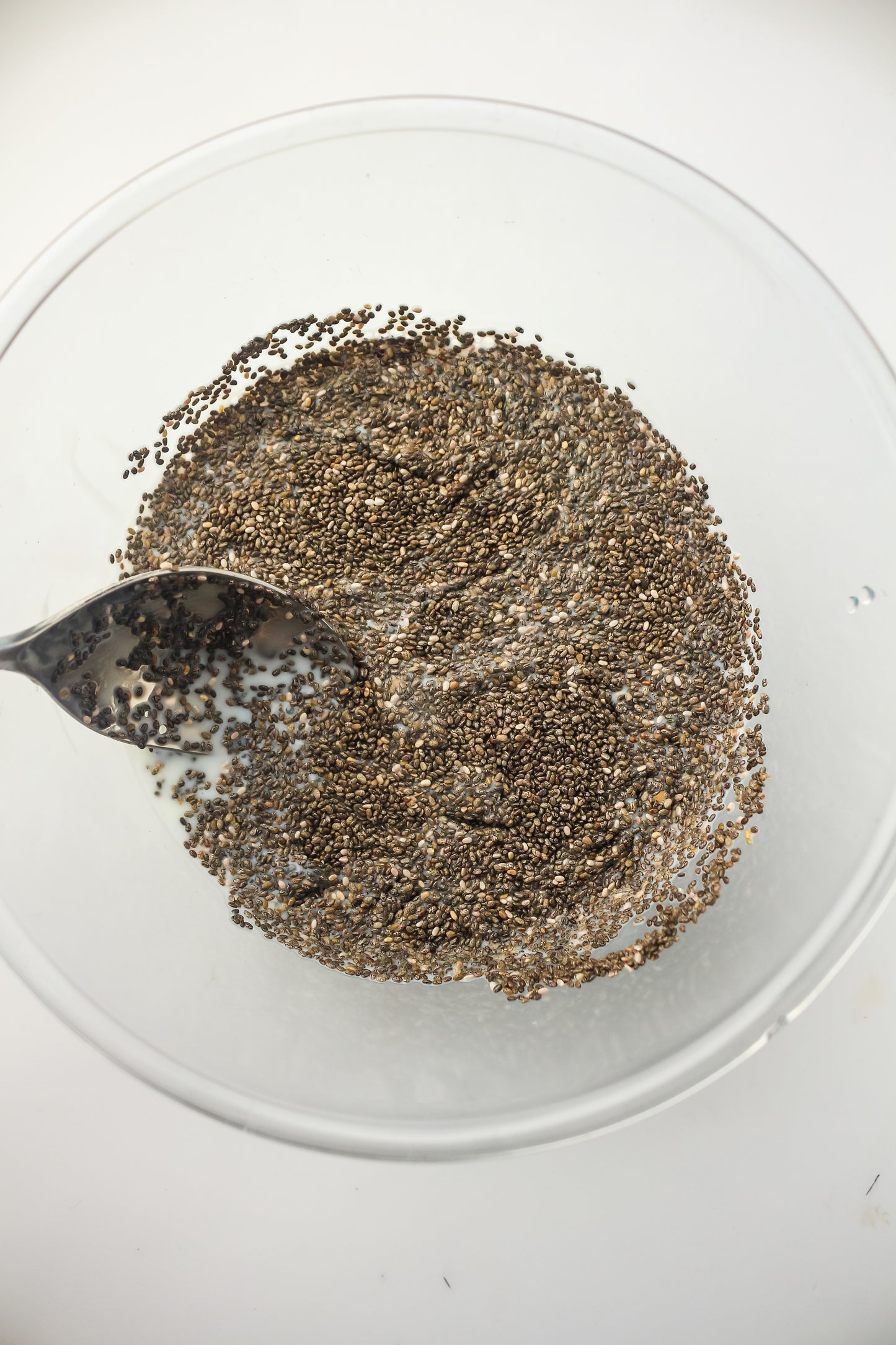 Chia Pudding PLR - Healthy
