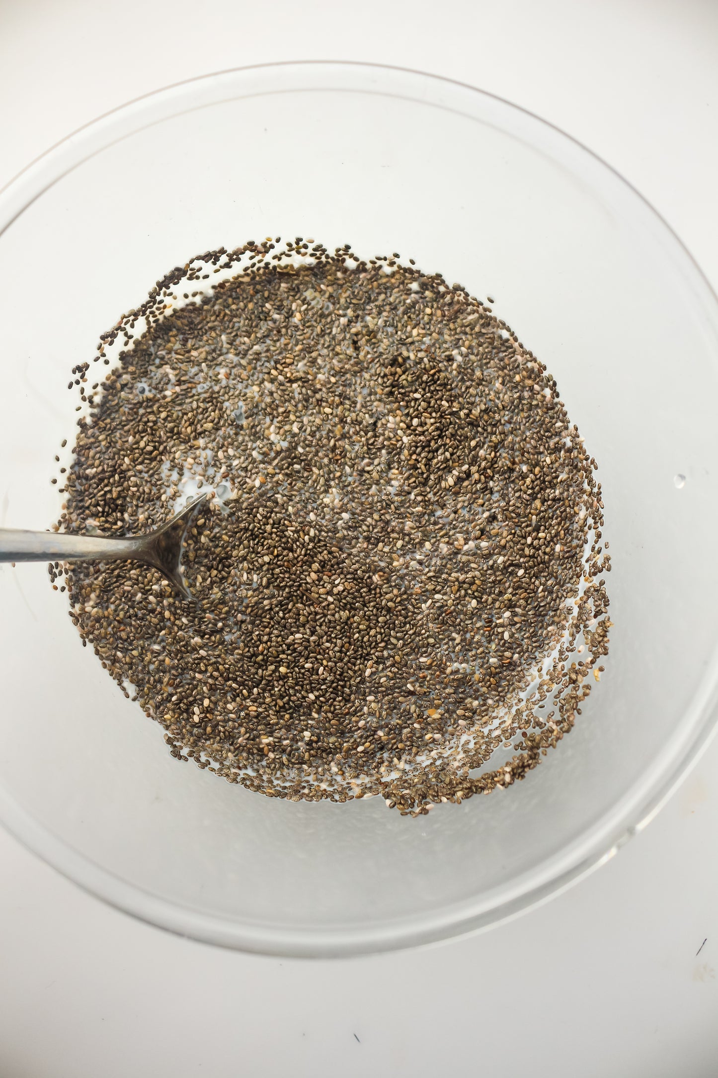 Chia Pudding PLR - Healthy