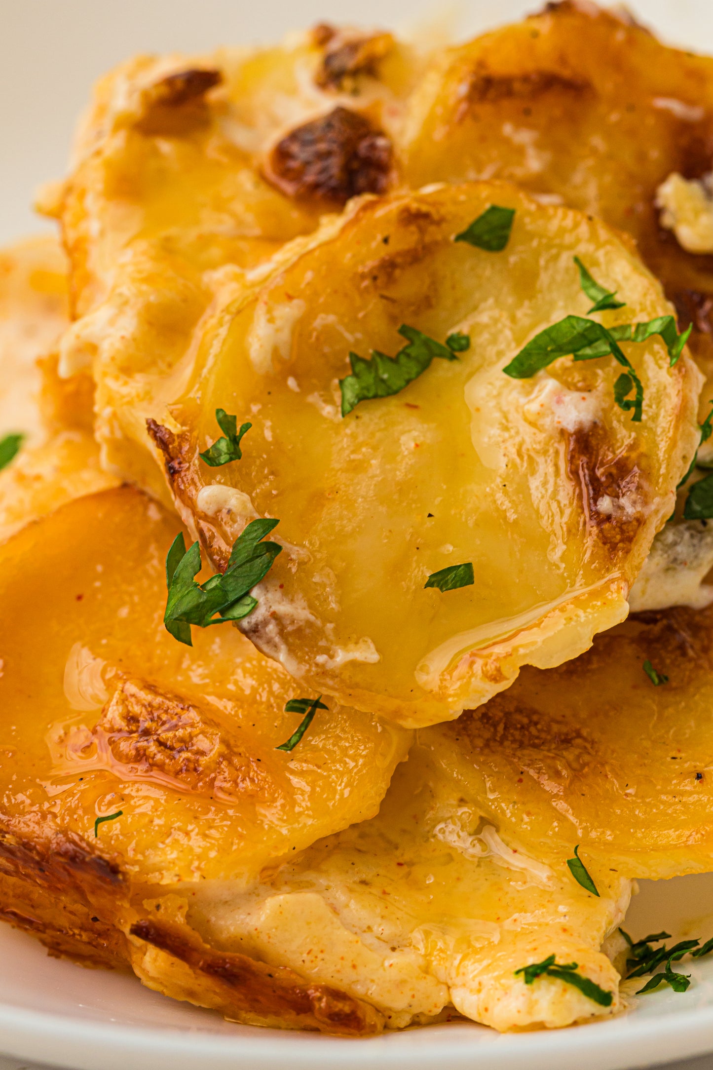 Creamy Scallop Potatoes