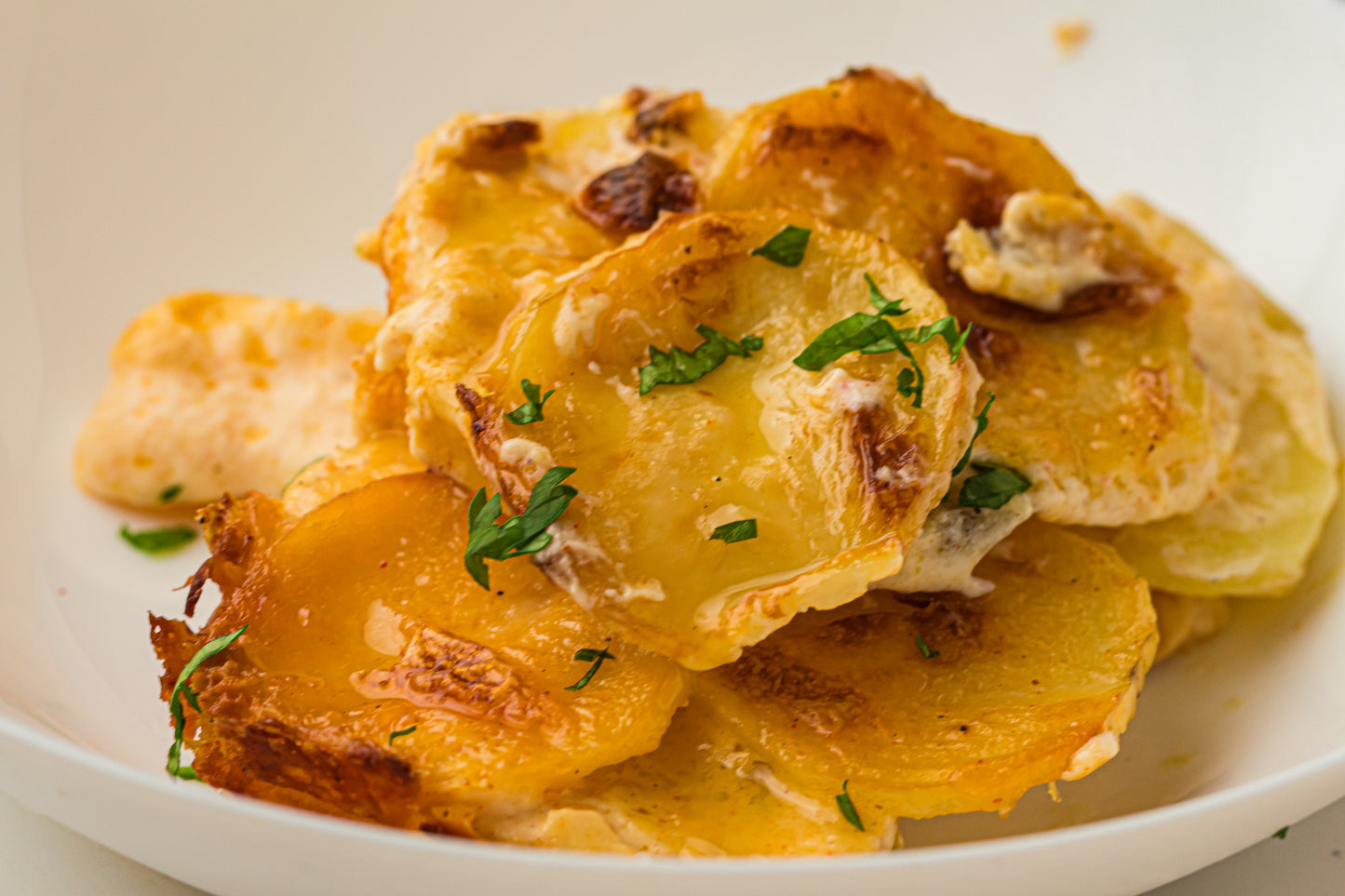 Creamy Scallop Potatoes