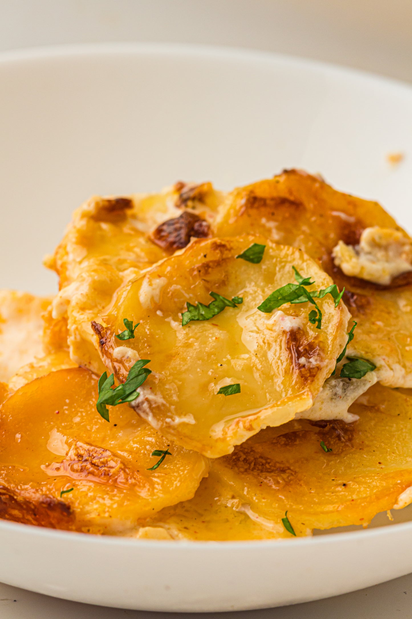 Creamy Scallop Potatoes