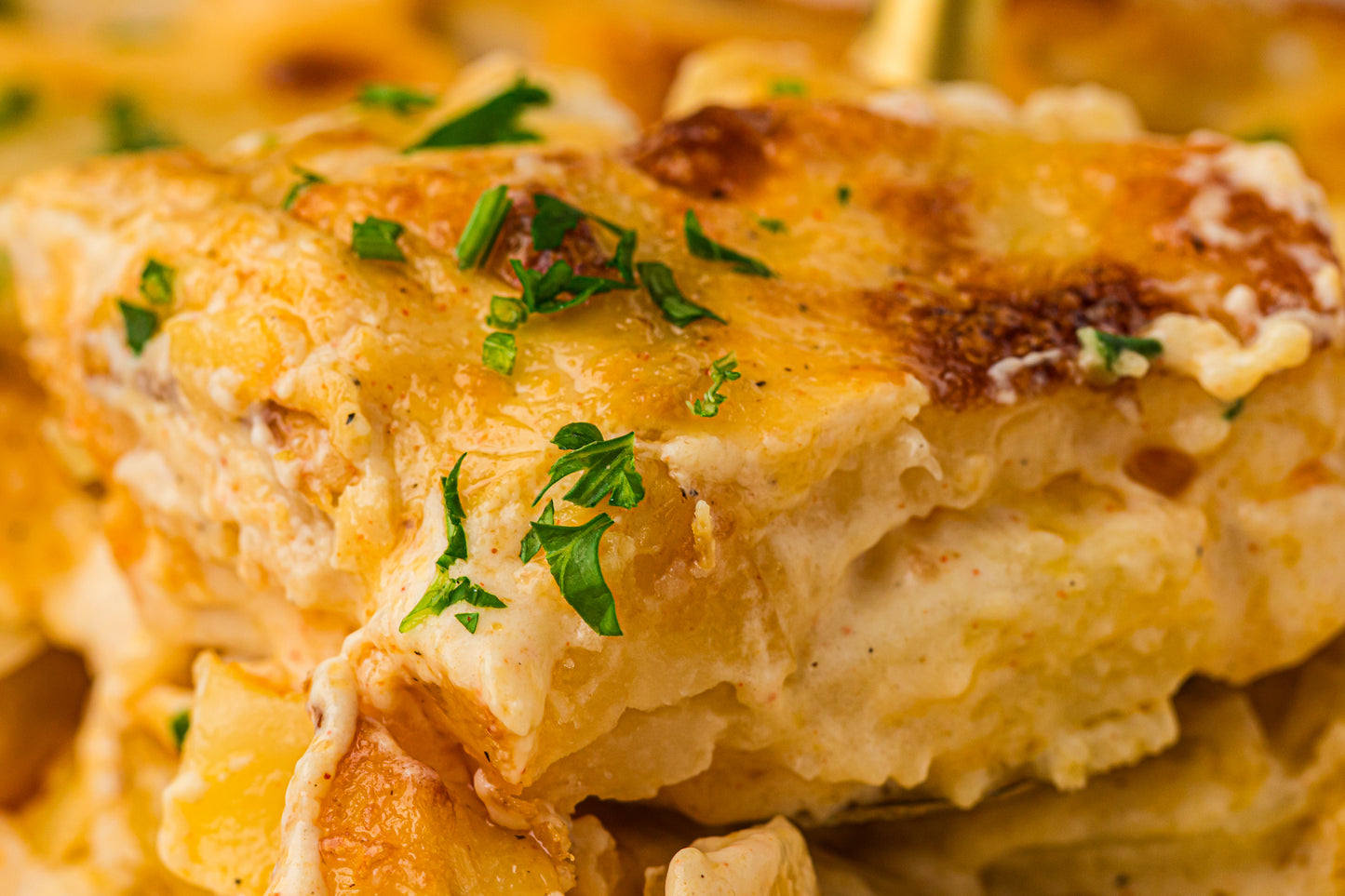 Creamy Scallop Potatoes