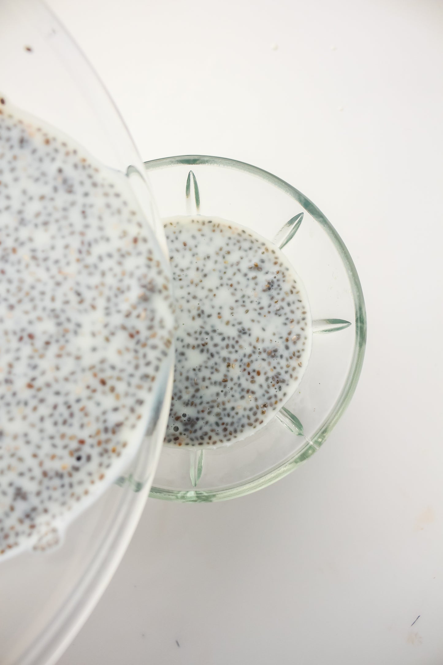 Chia Pudding PLR - Healthy