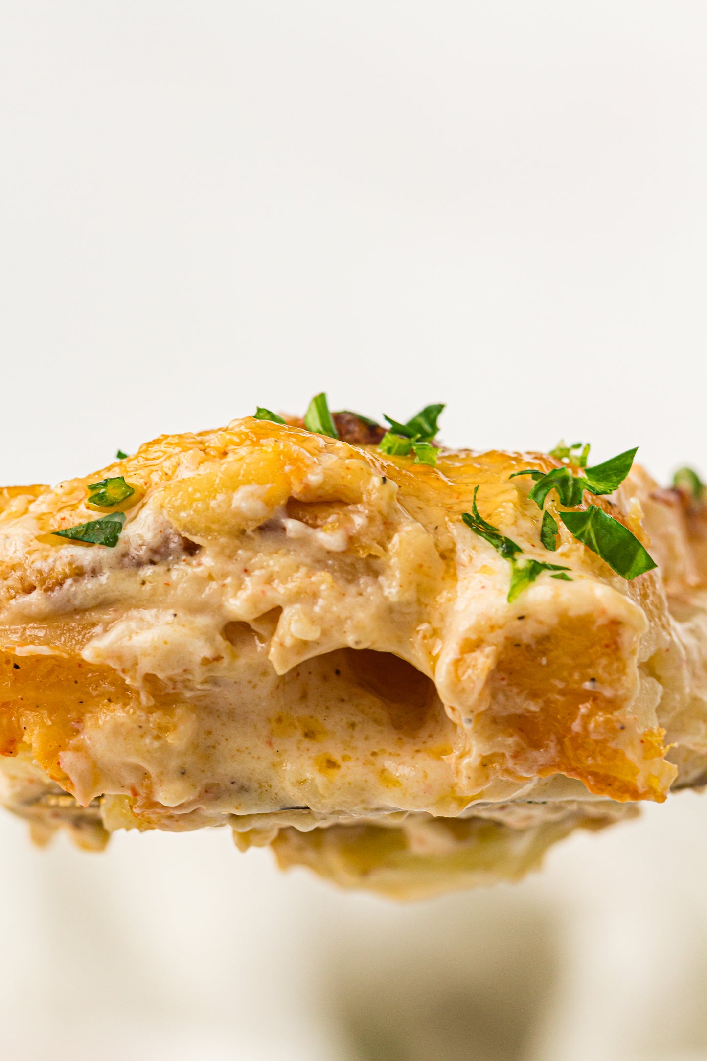 Creamy Scallop Potatoes