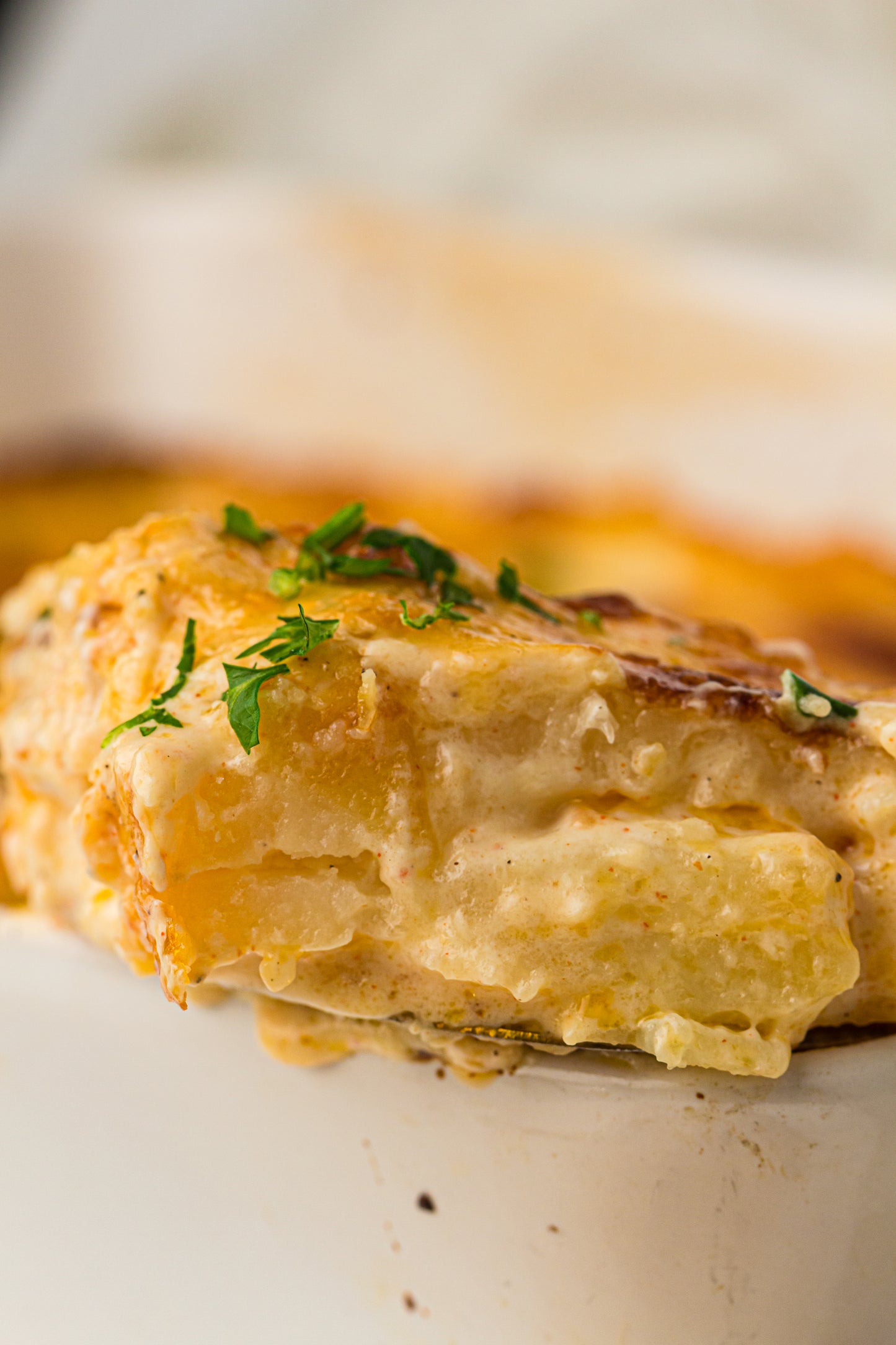 Creamy Scallop Potatoes