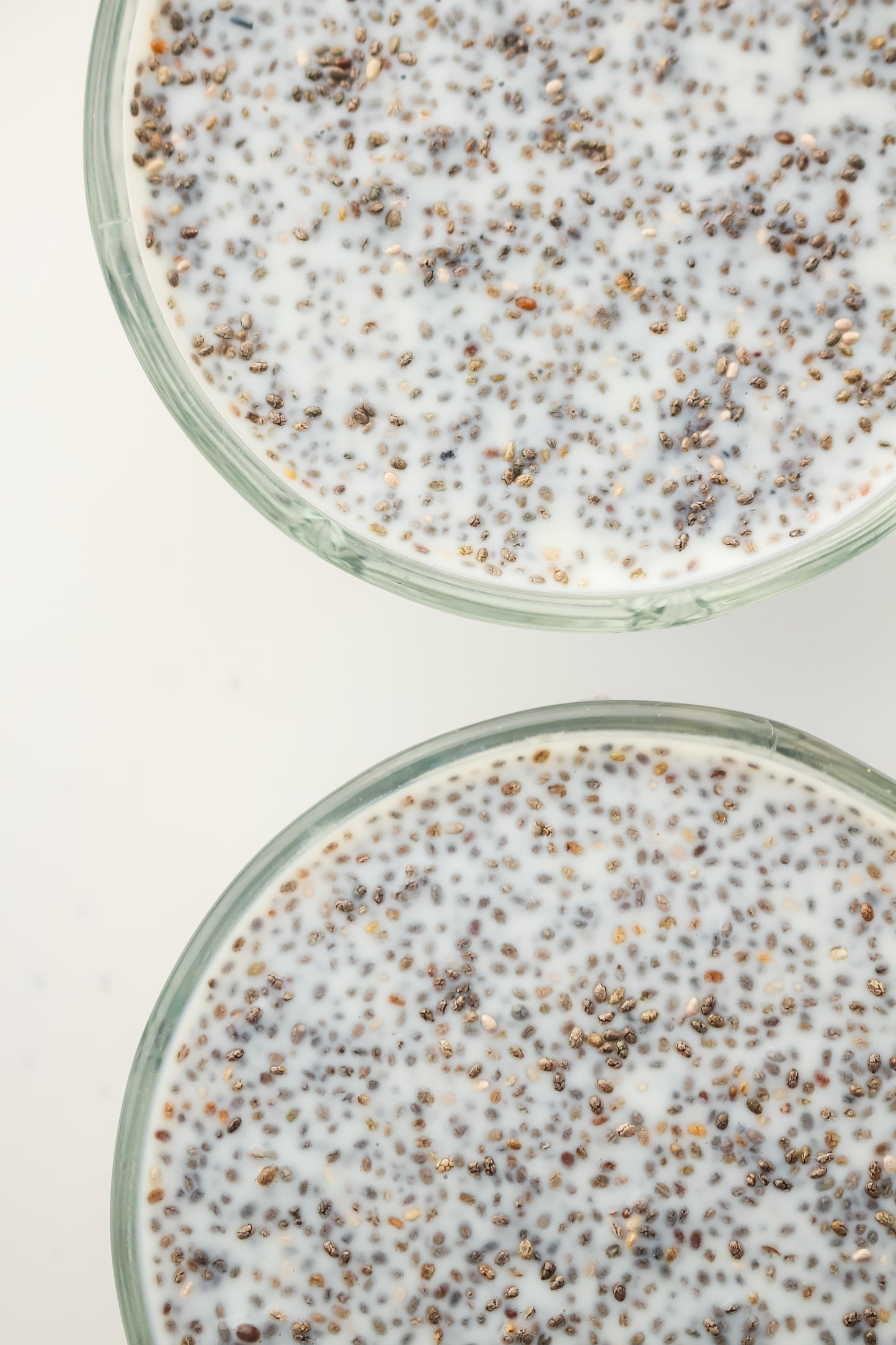 Chia Pudding PLR - Healthy