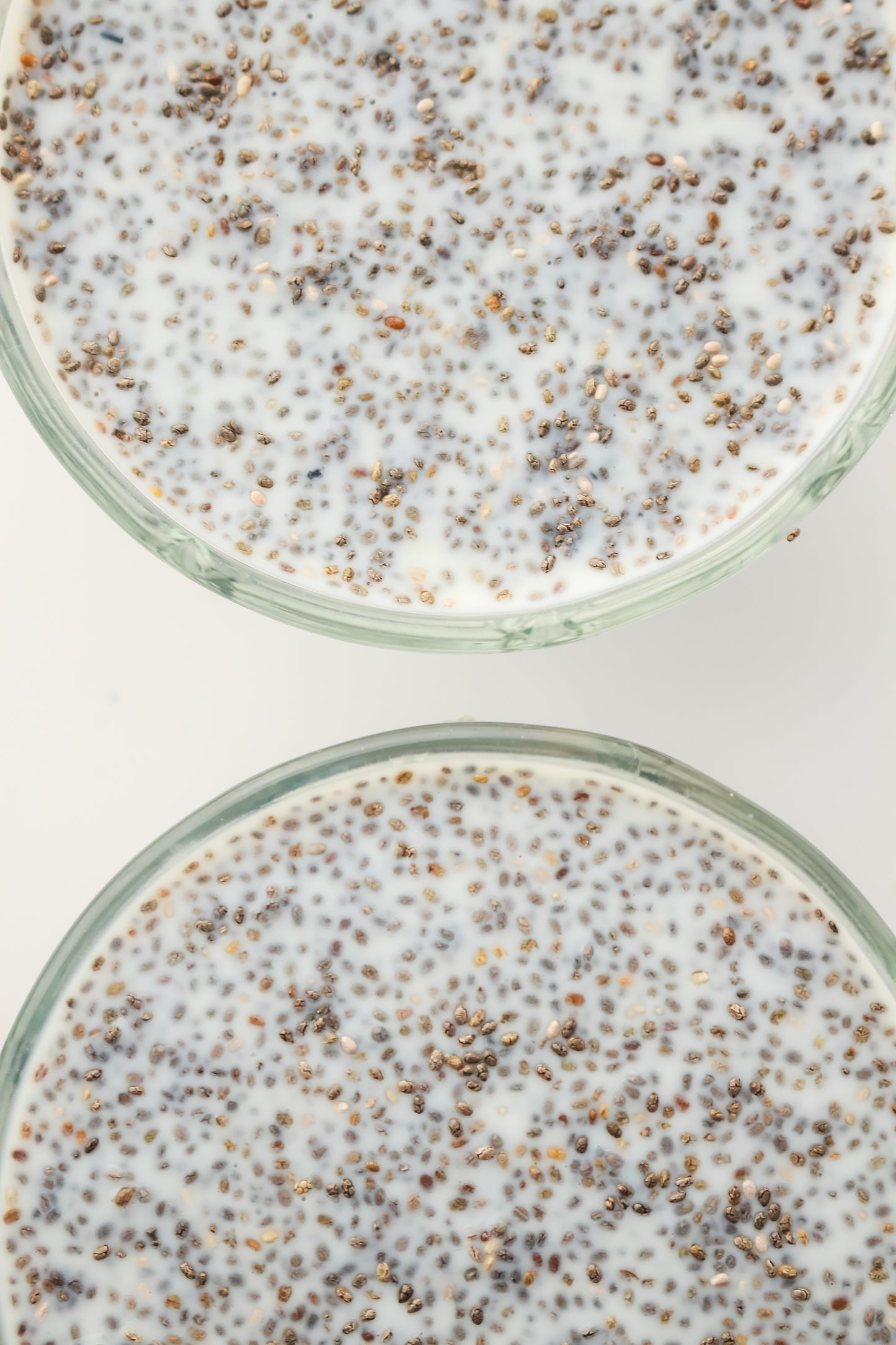 Chia Pudding PLR - Healthy