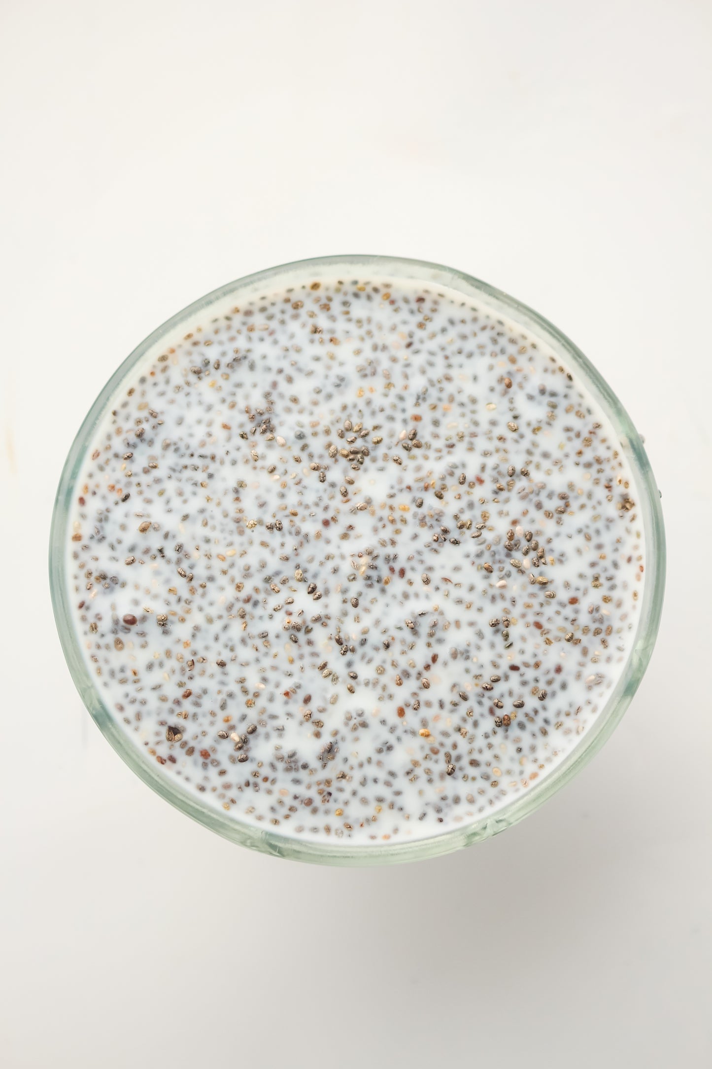 Chia Pudding PLR - Healthy