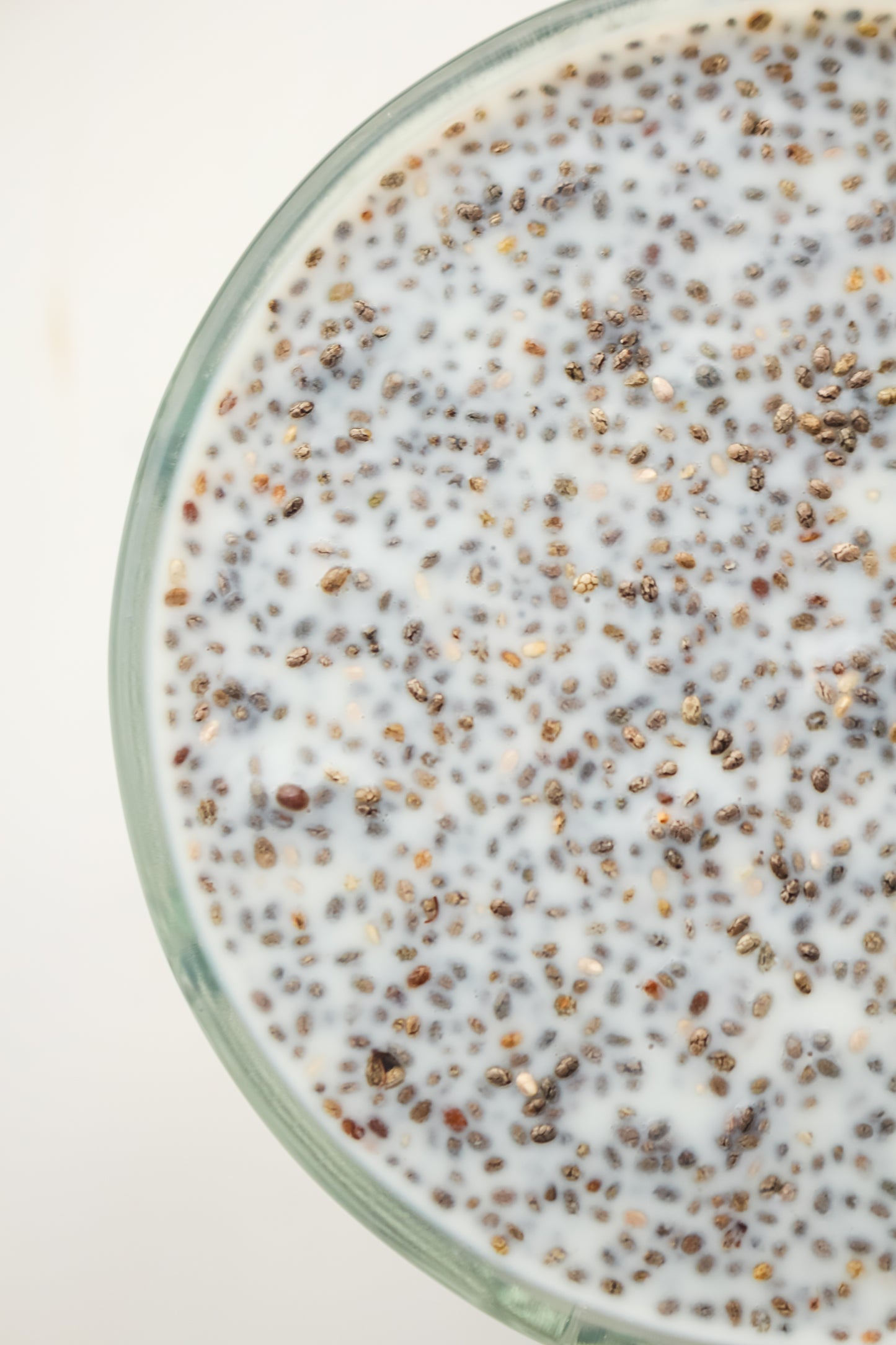 Chia Pudding PLR - Healthy