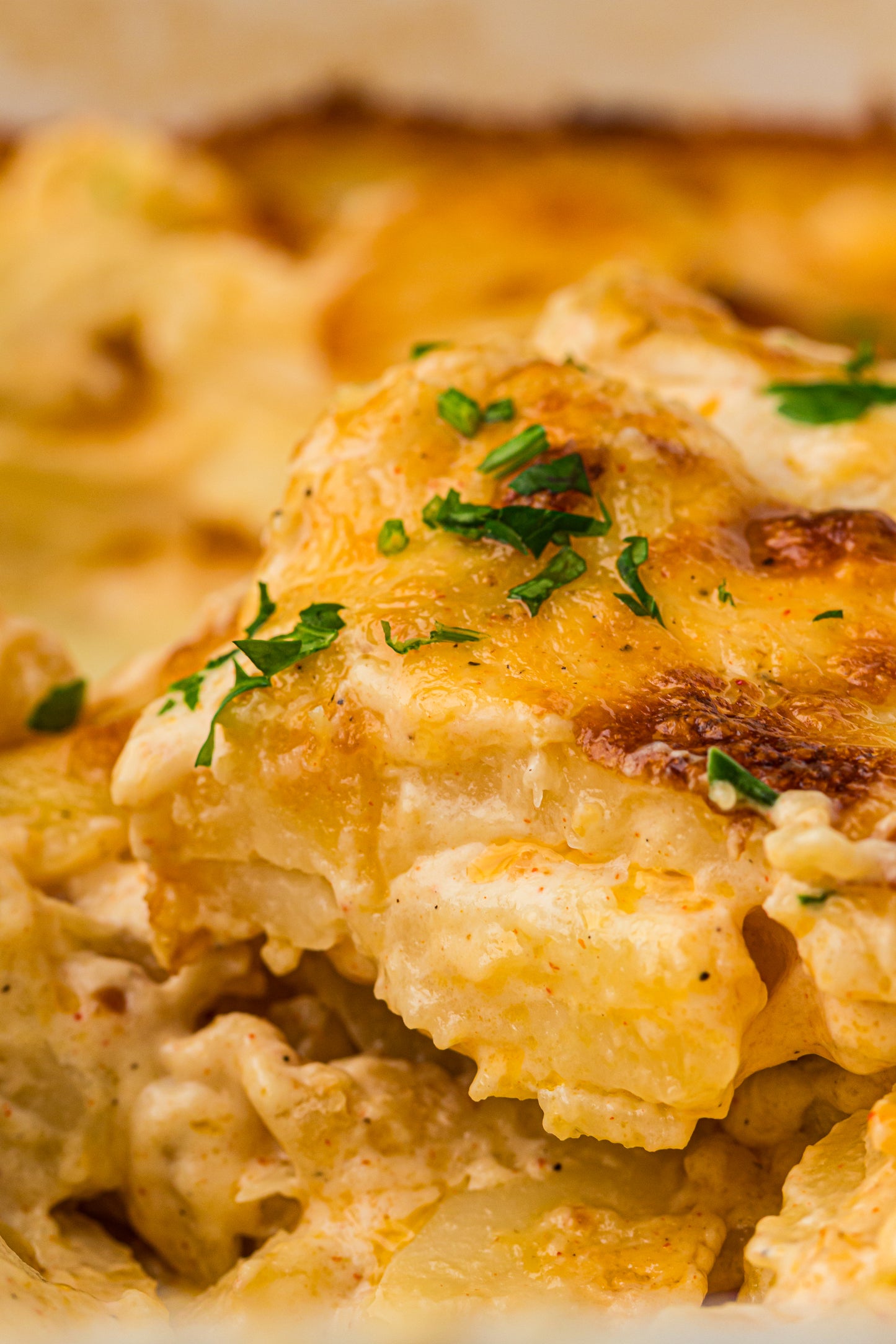 Creamy Scallop Potatoes