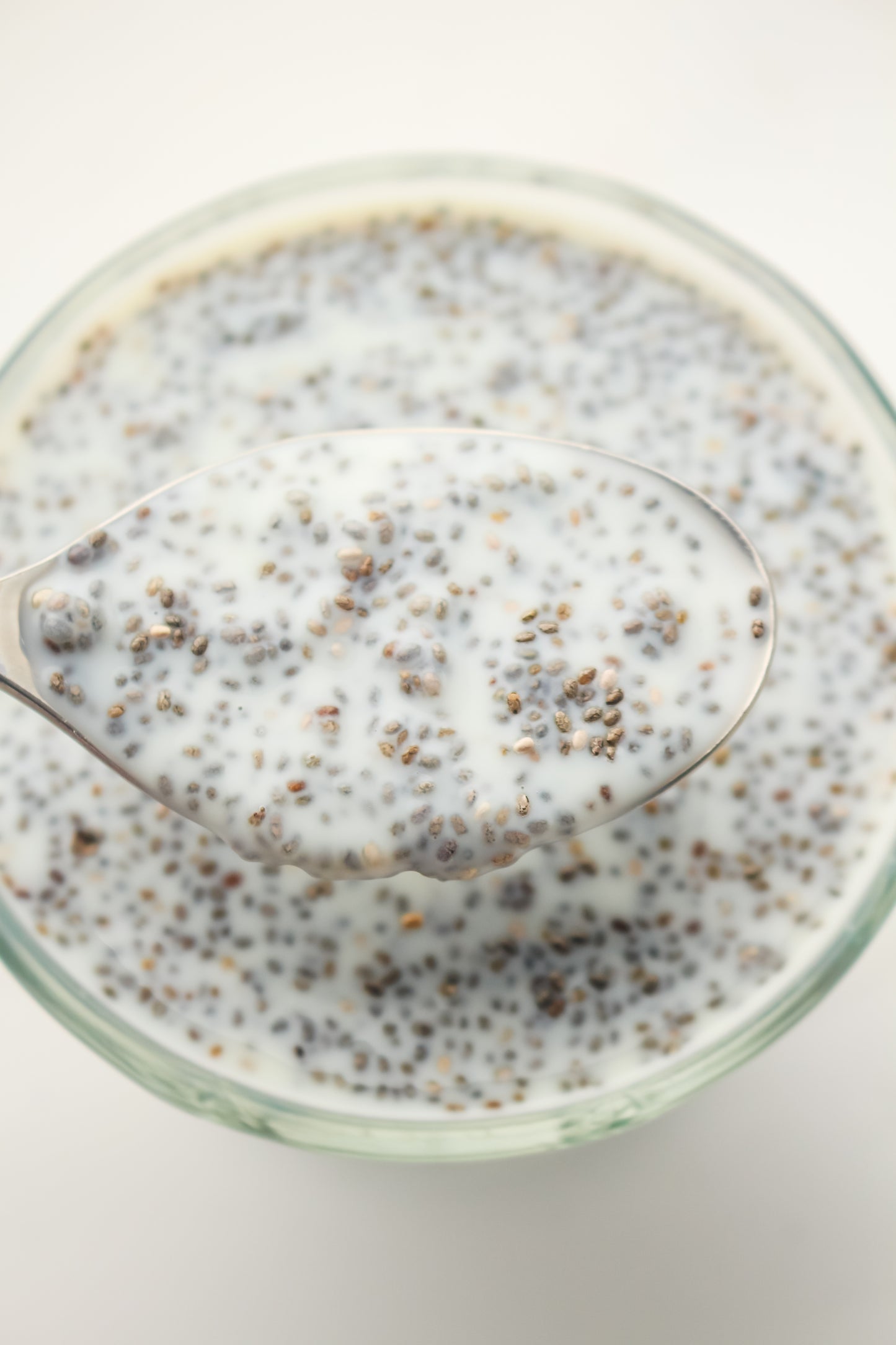 Chia Pudding PLR - Healthy
