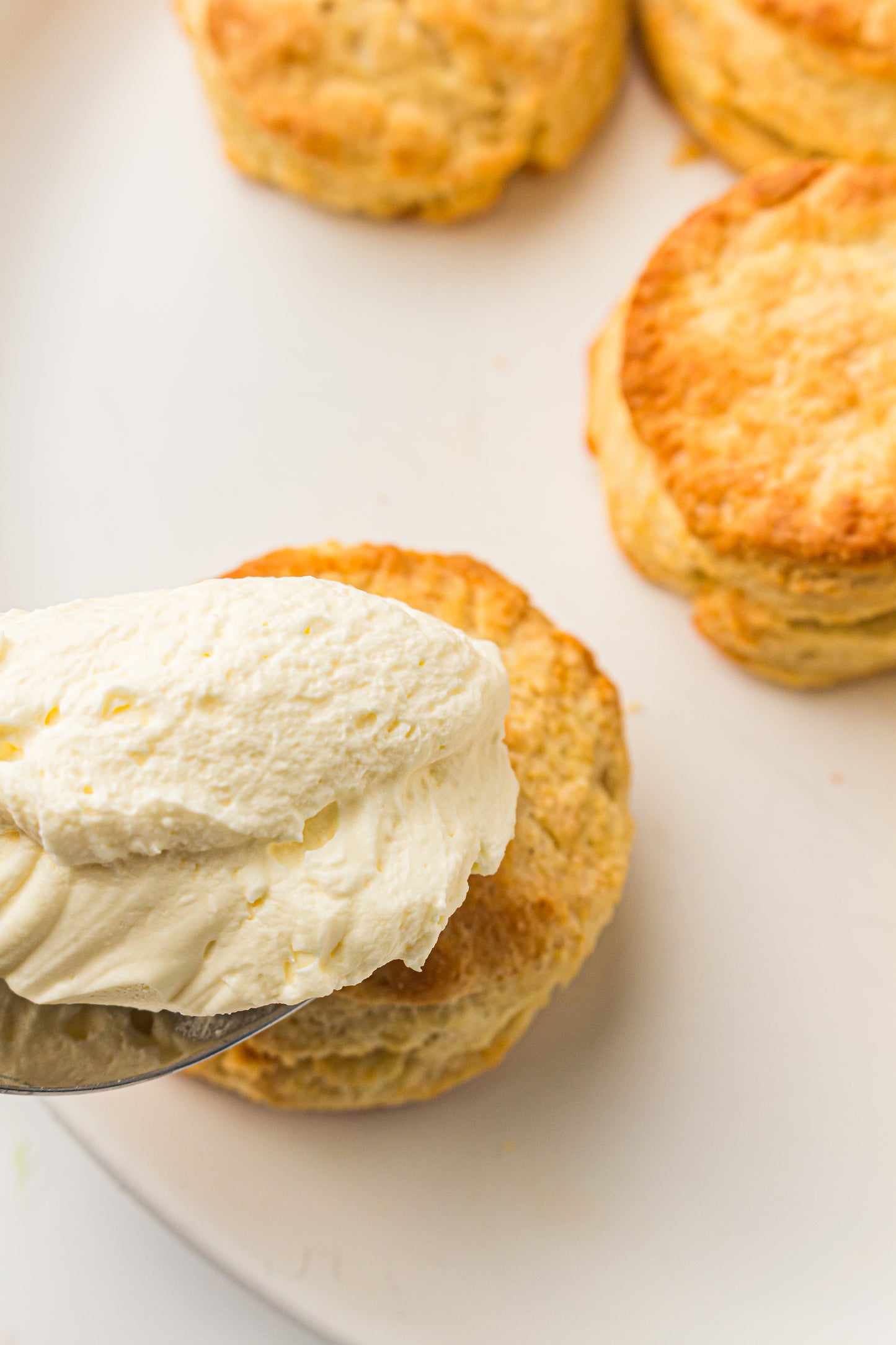 Strawberry Shortcake