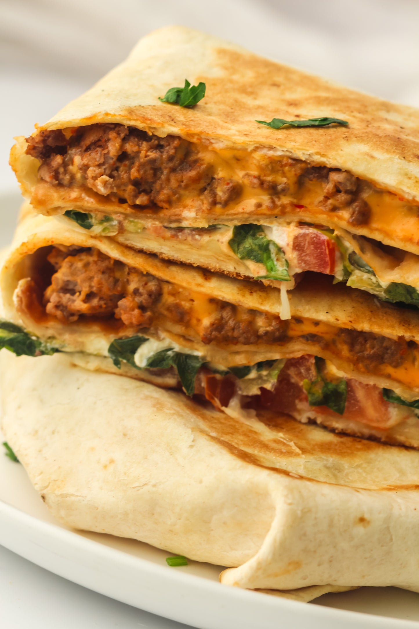 PLR Blackstone Crunch Wrap