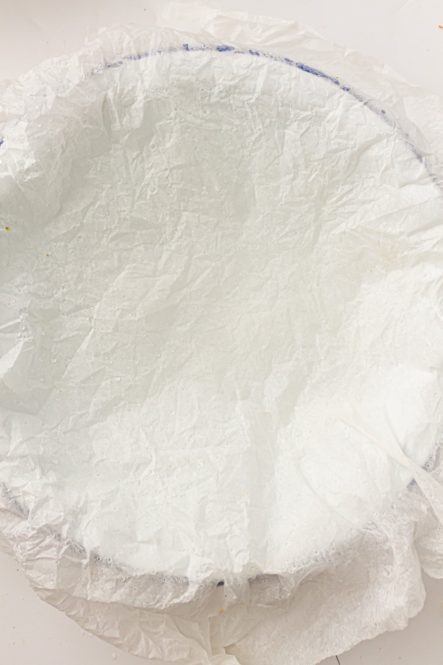 PLR Classic Chicken Pot Pie