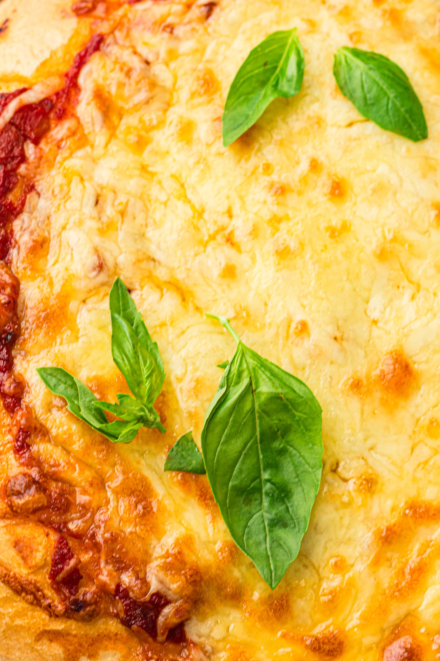 PLR Bread Machine Pizza Dough