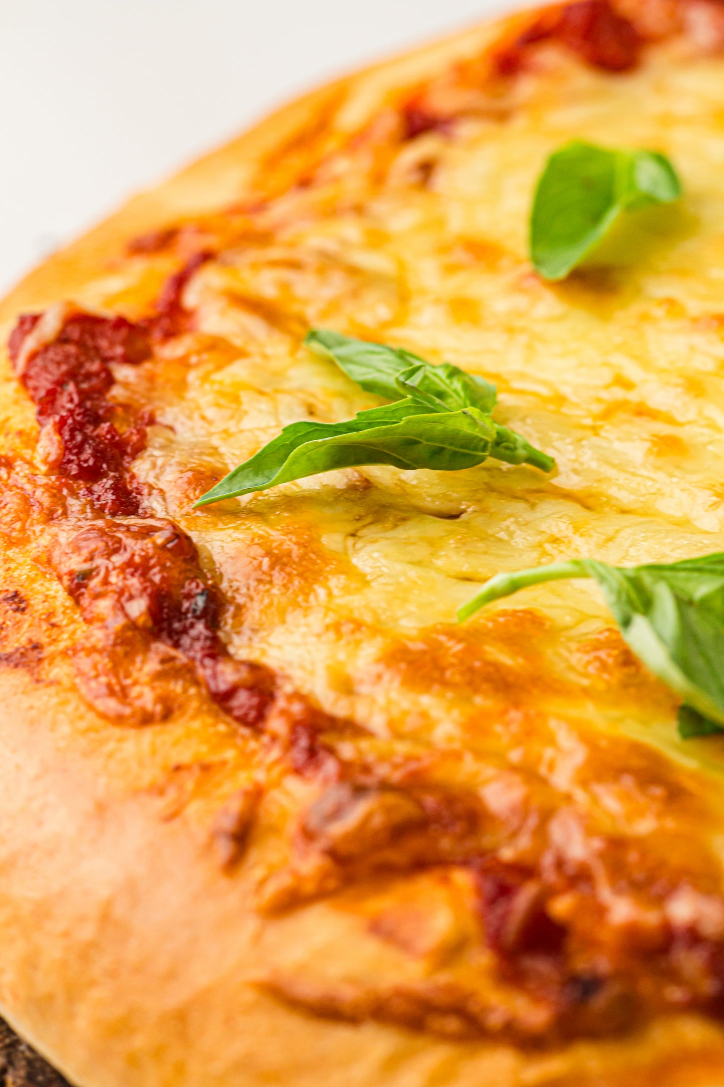 PLR Bread Machine Pizza Dough