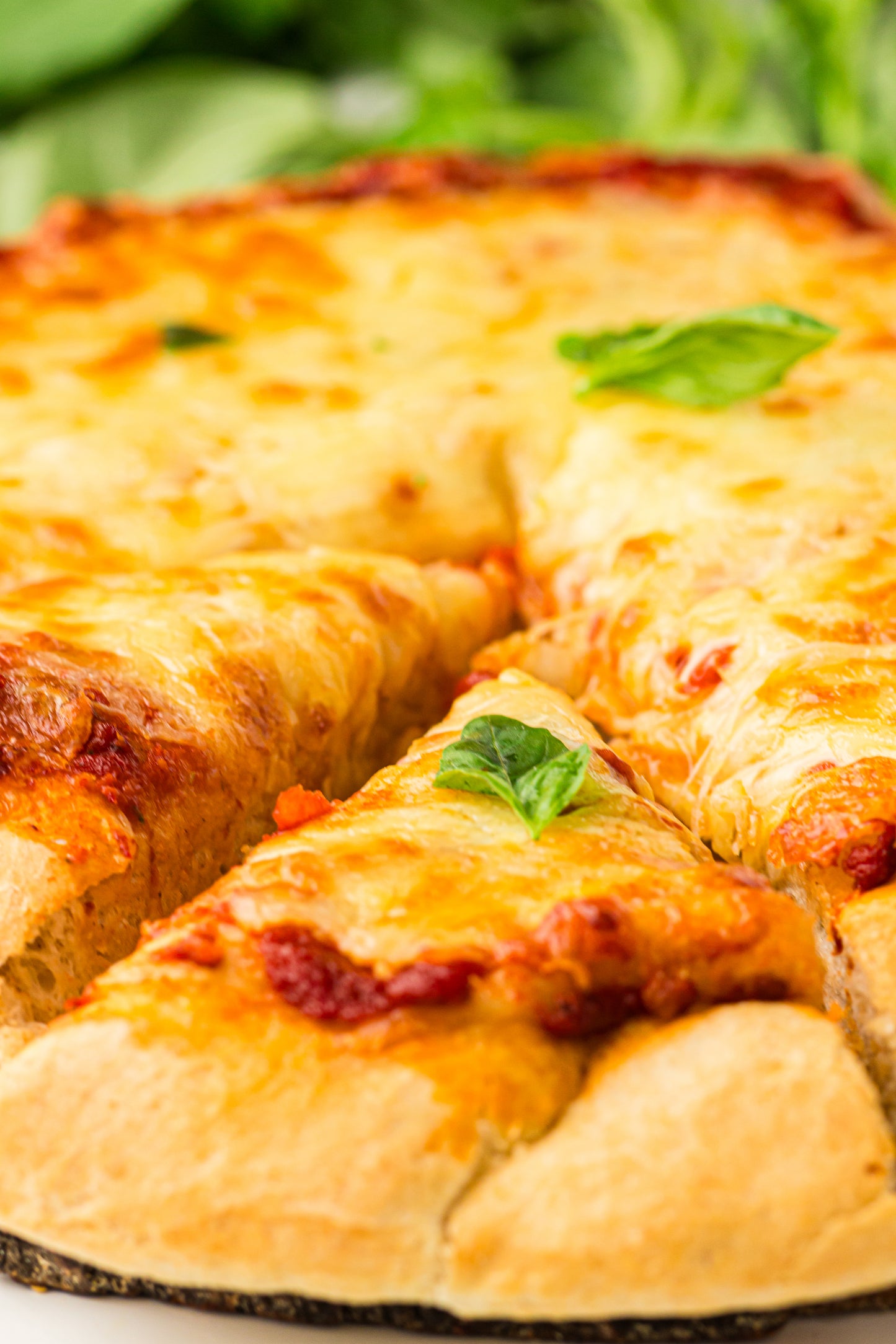 PLR Bread Machine Pizza Dough