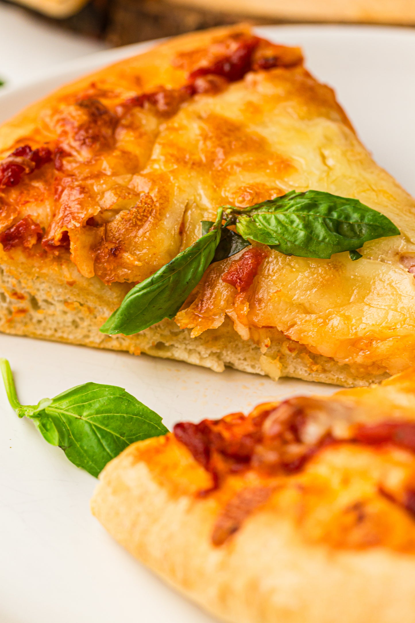 PLR Bread Machine Pizza Dough