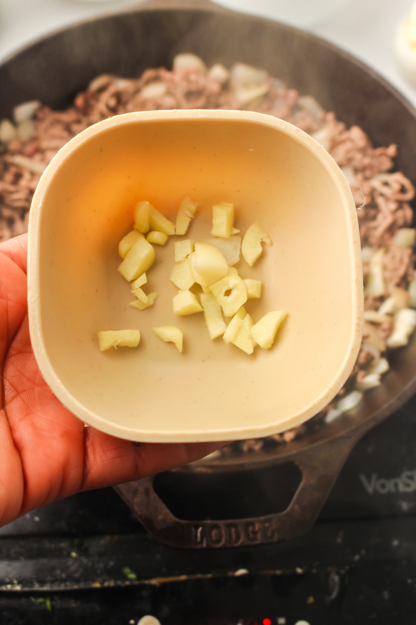 PLR Skillet Lasagna Recipe Pack