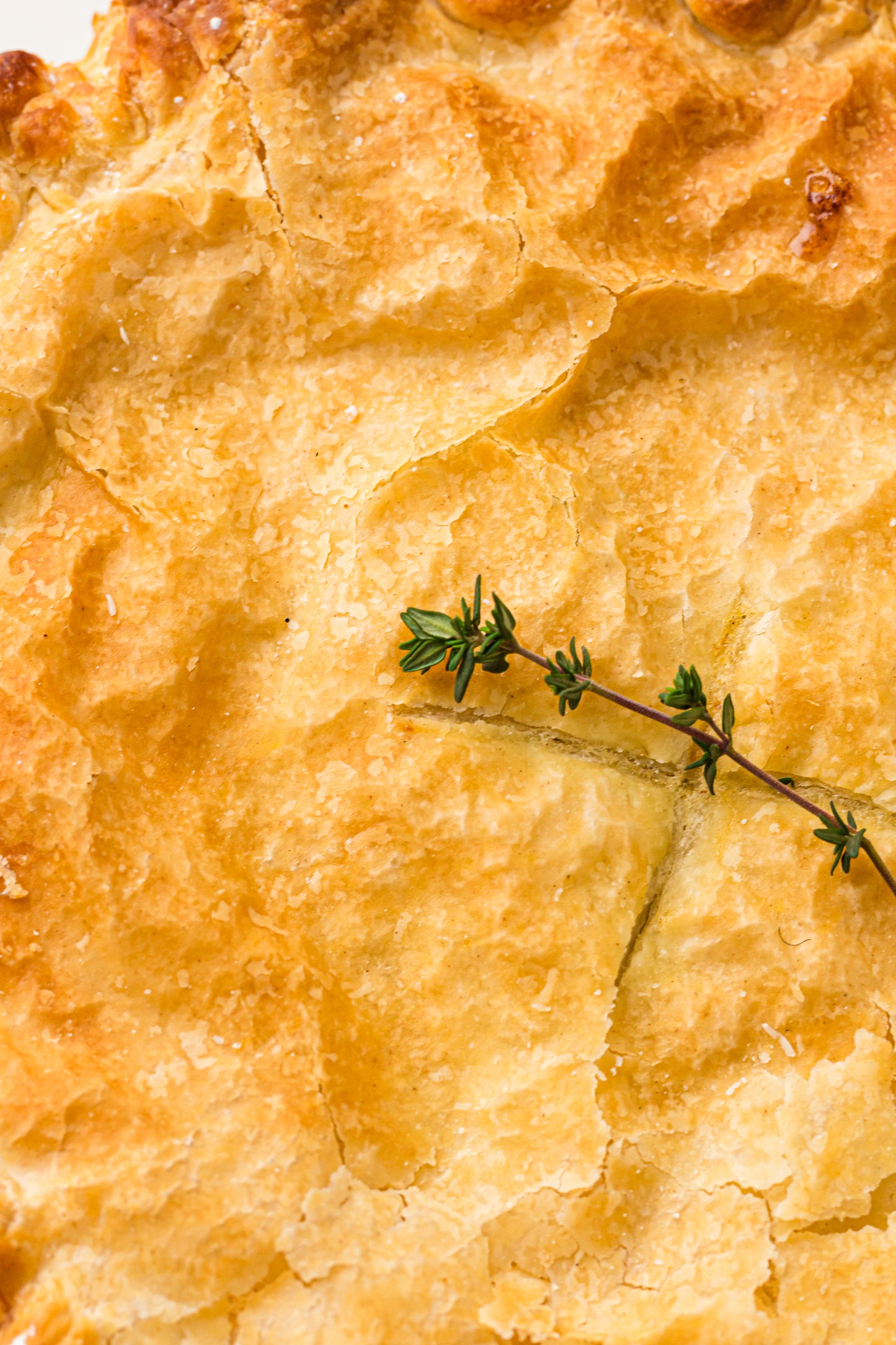 PLR Classic Chicken Pot Pie