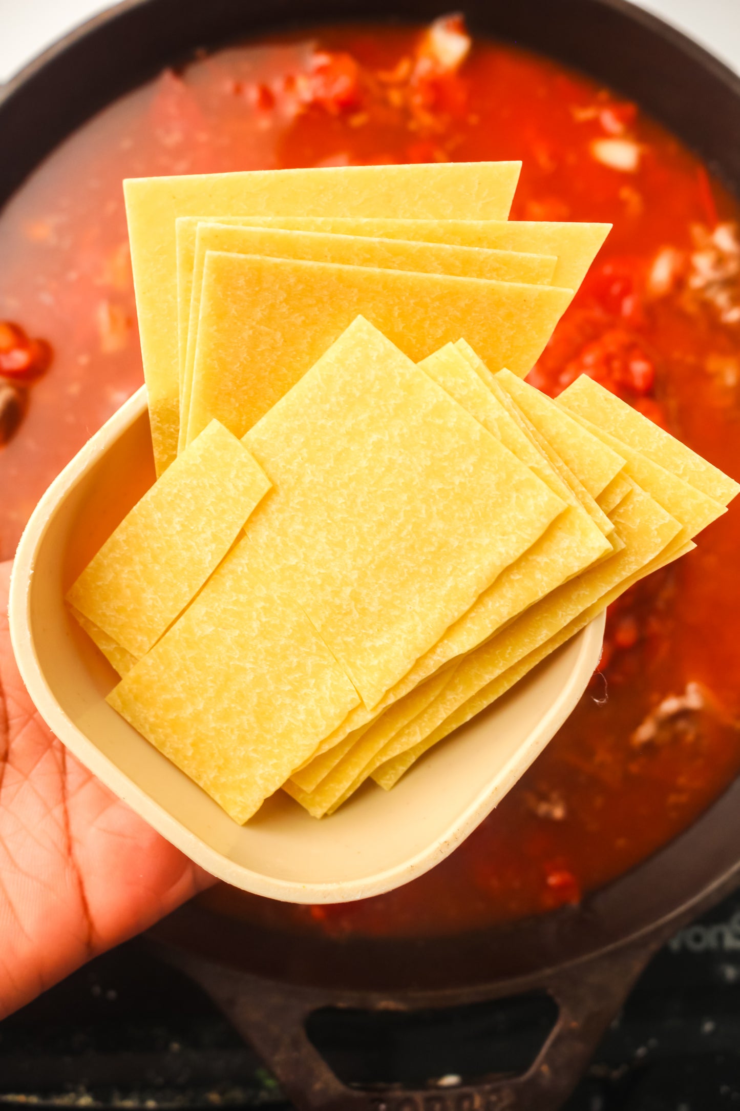 PLR Skillet Lasagna Recipe Pack