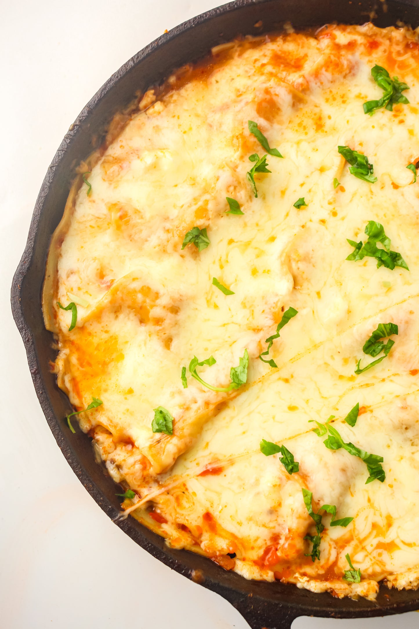 PLR Skillet Lasagna Recipe Pack