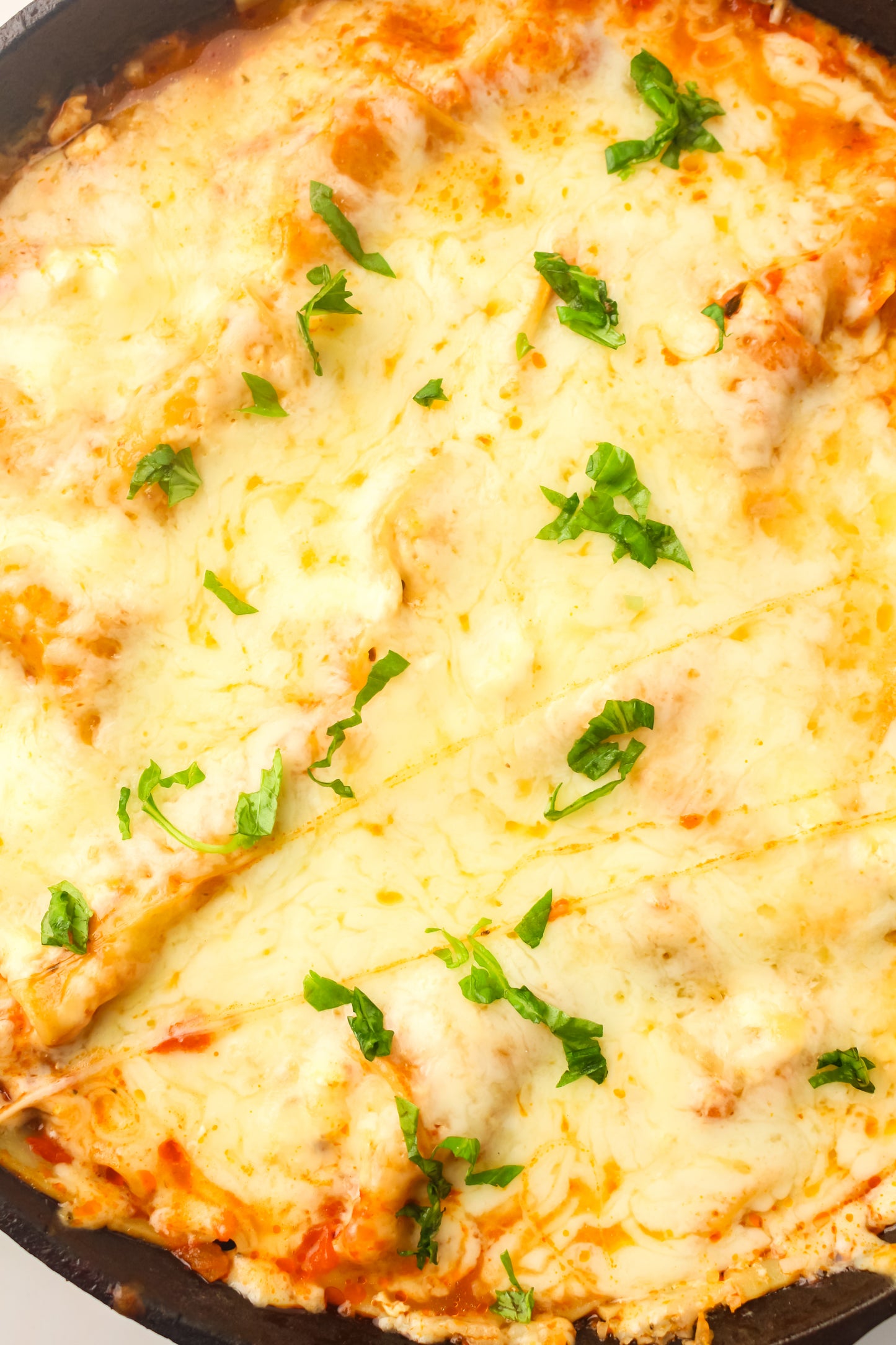 PLR Skillet Lasagna Recipe Pack