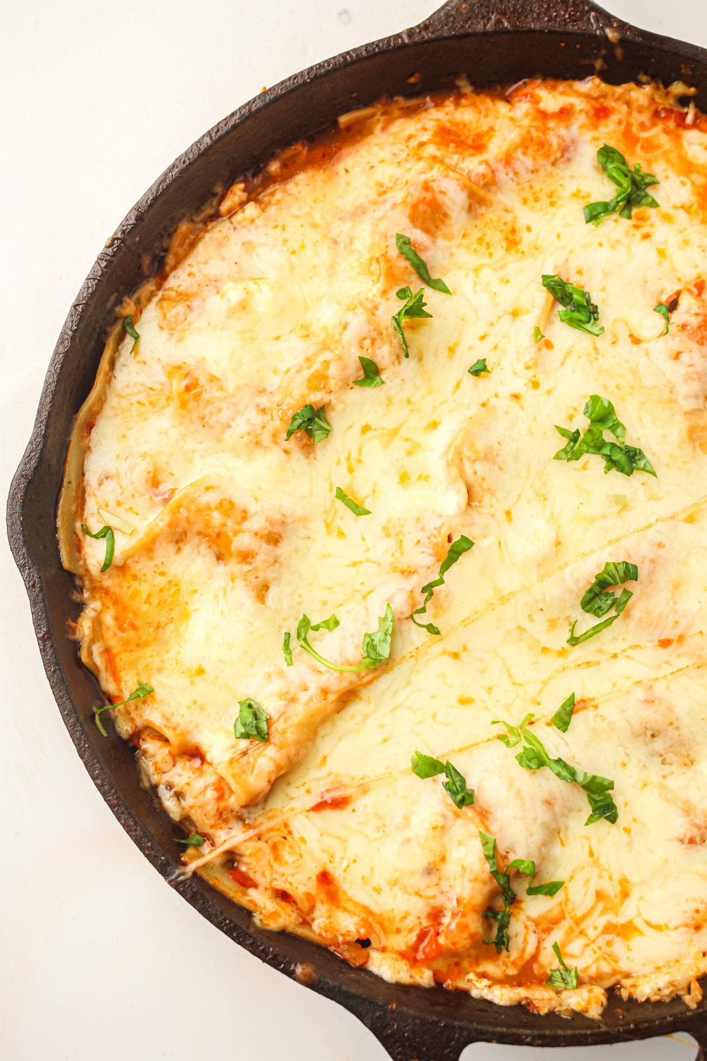 PLR Skillet Lasagna Recipe Pack