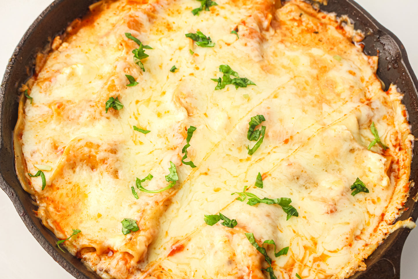 PLR Skillet Lasagna Recipe Pack