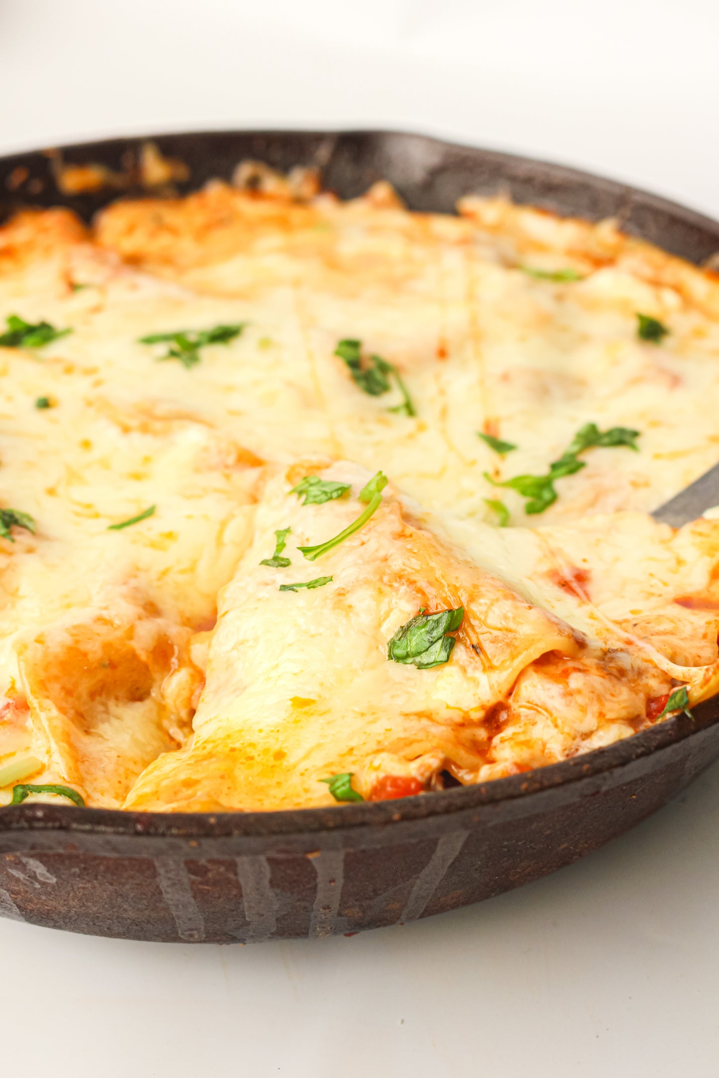 PLR Skillet Lasagna Recipe Pack
