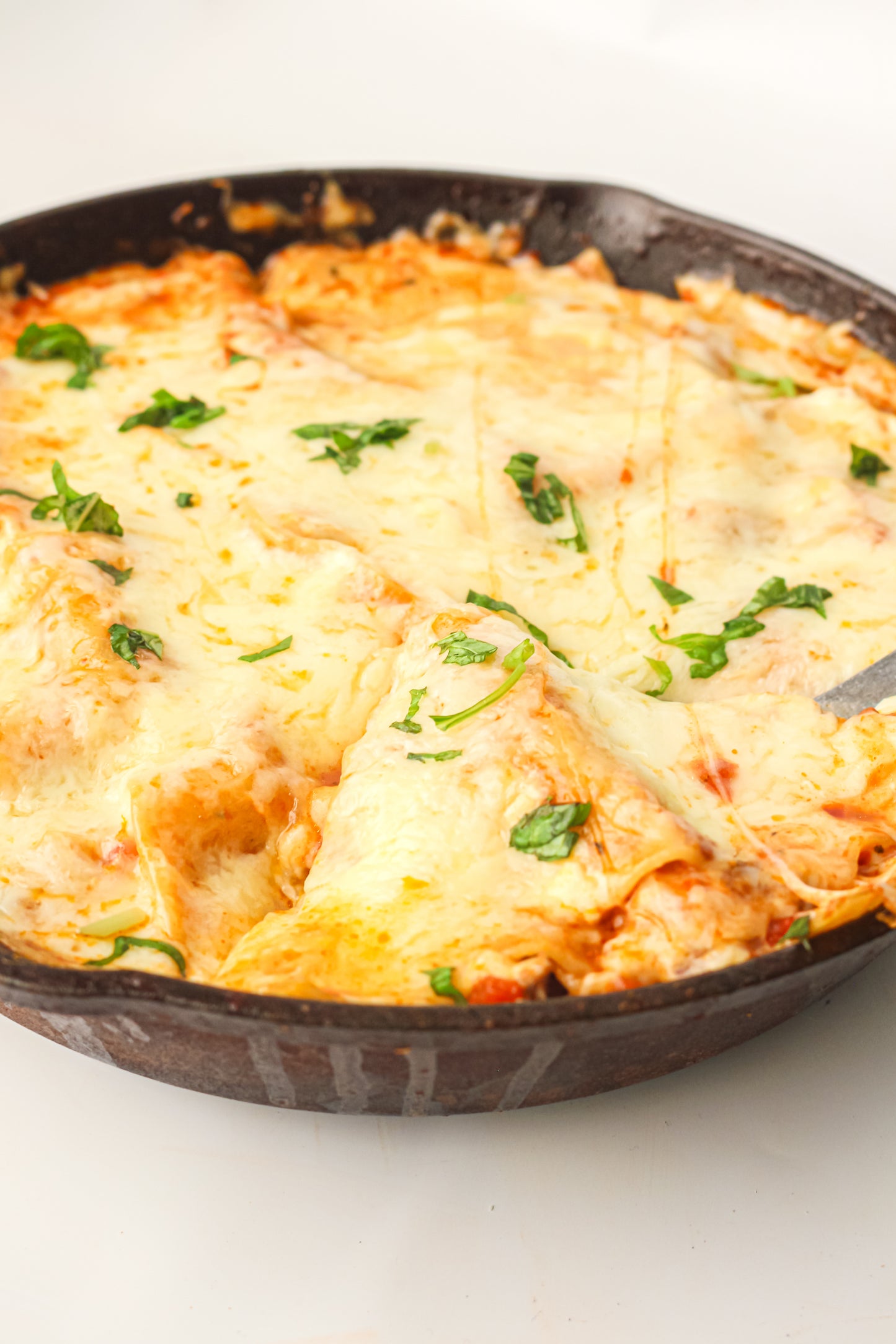PLR Skillet Lasagna Recipe Pack